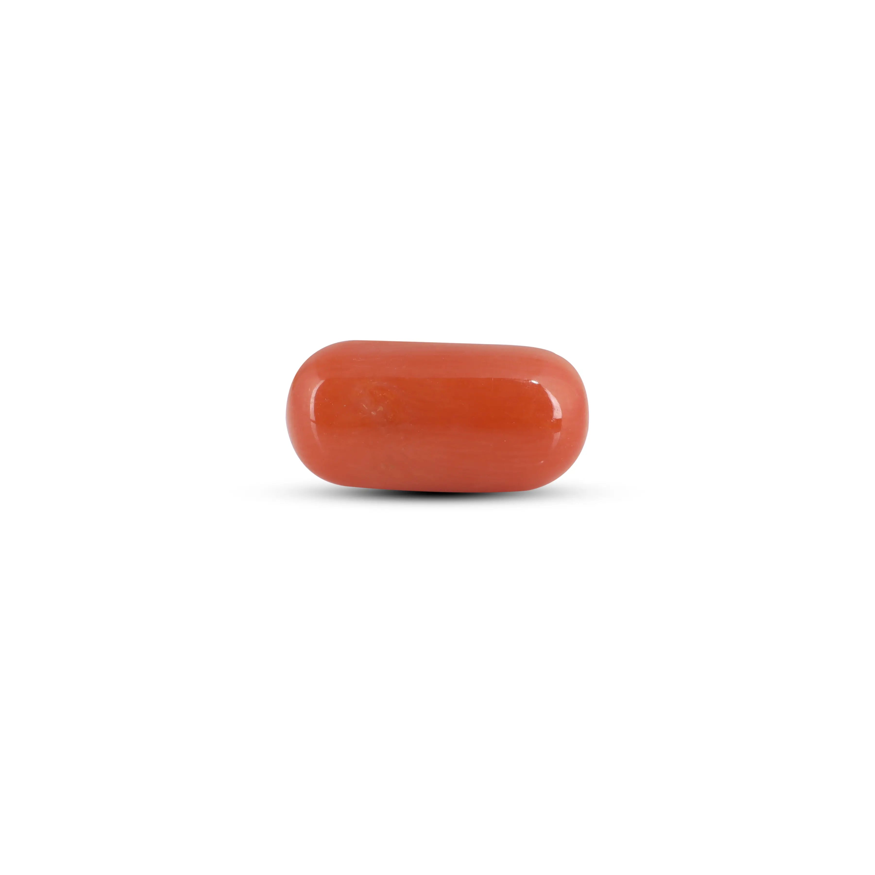 Pramogh Red Coral - 4.05 Carat