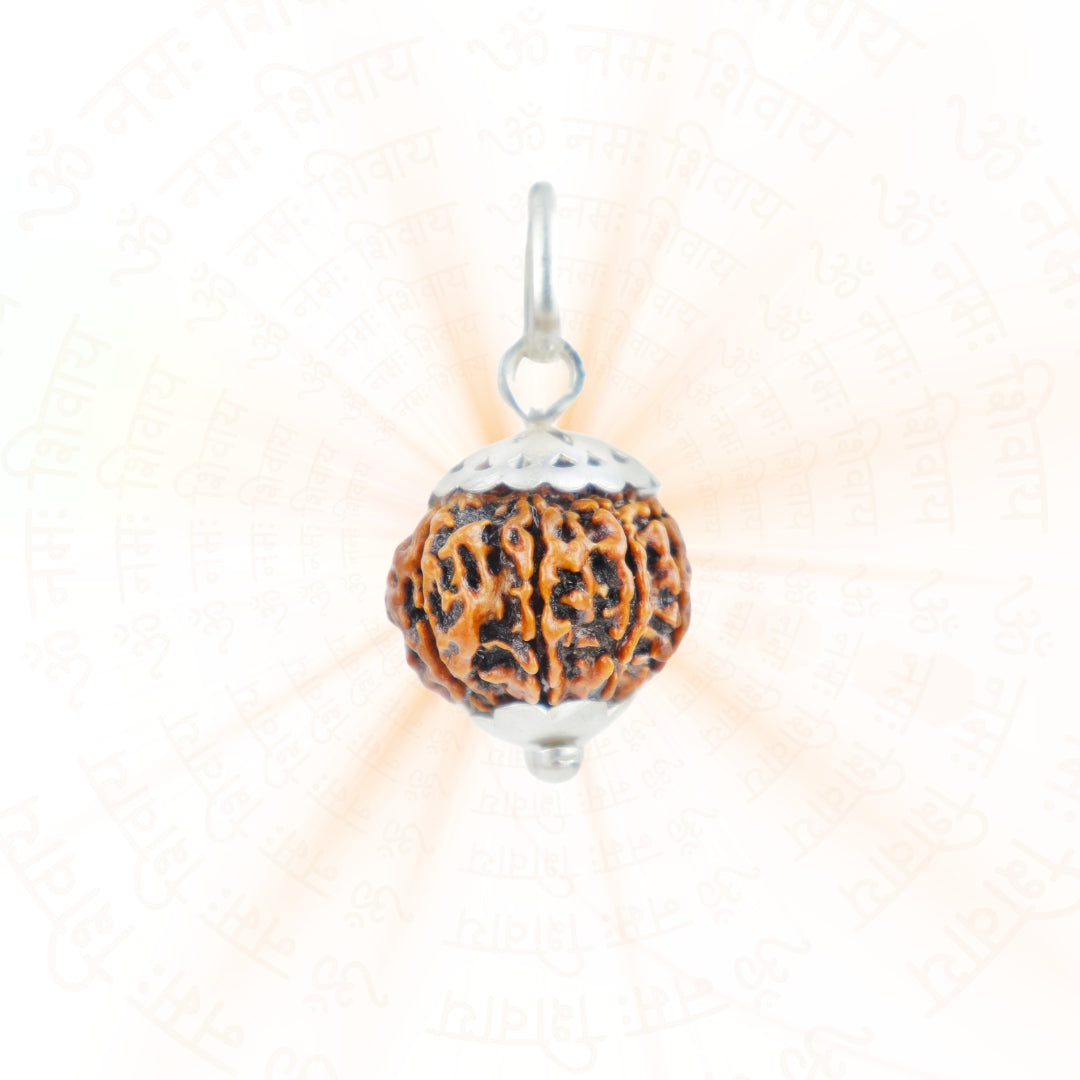 Prinjal Jewellers Silver Capping 8 Mukhi Rudraksha Pendant With Chain ( Nepali ) - view 2