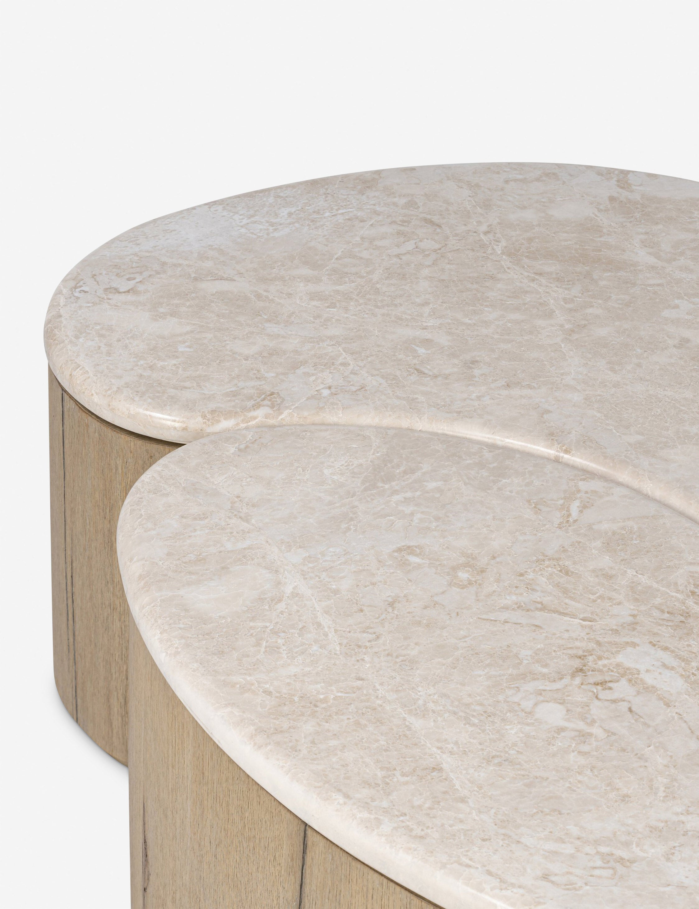 Lulu and Georgia Lazaro Nesting Coffee Table (Set of 2) - view 8