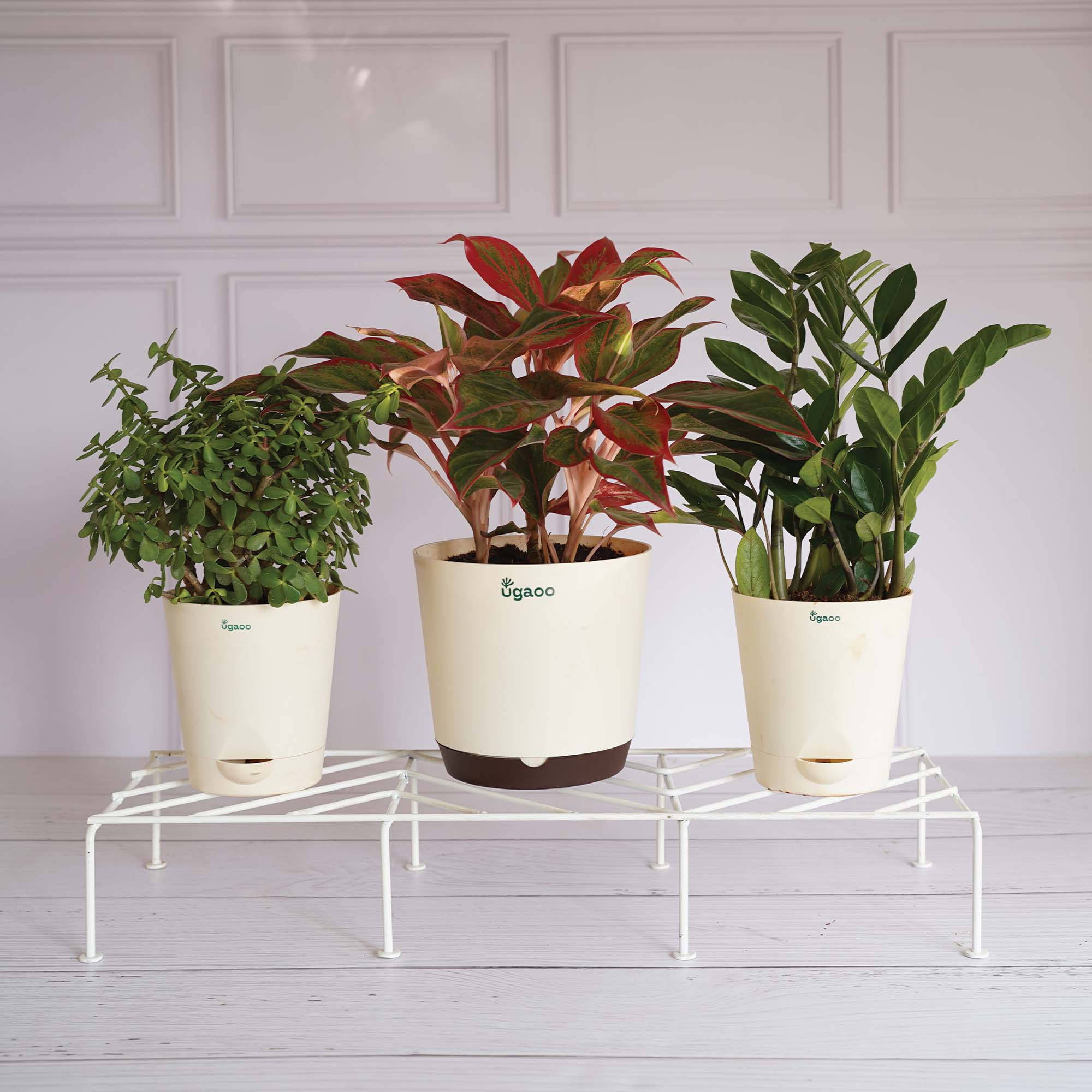 Ugaoo Premium Plants Stand - view 17