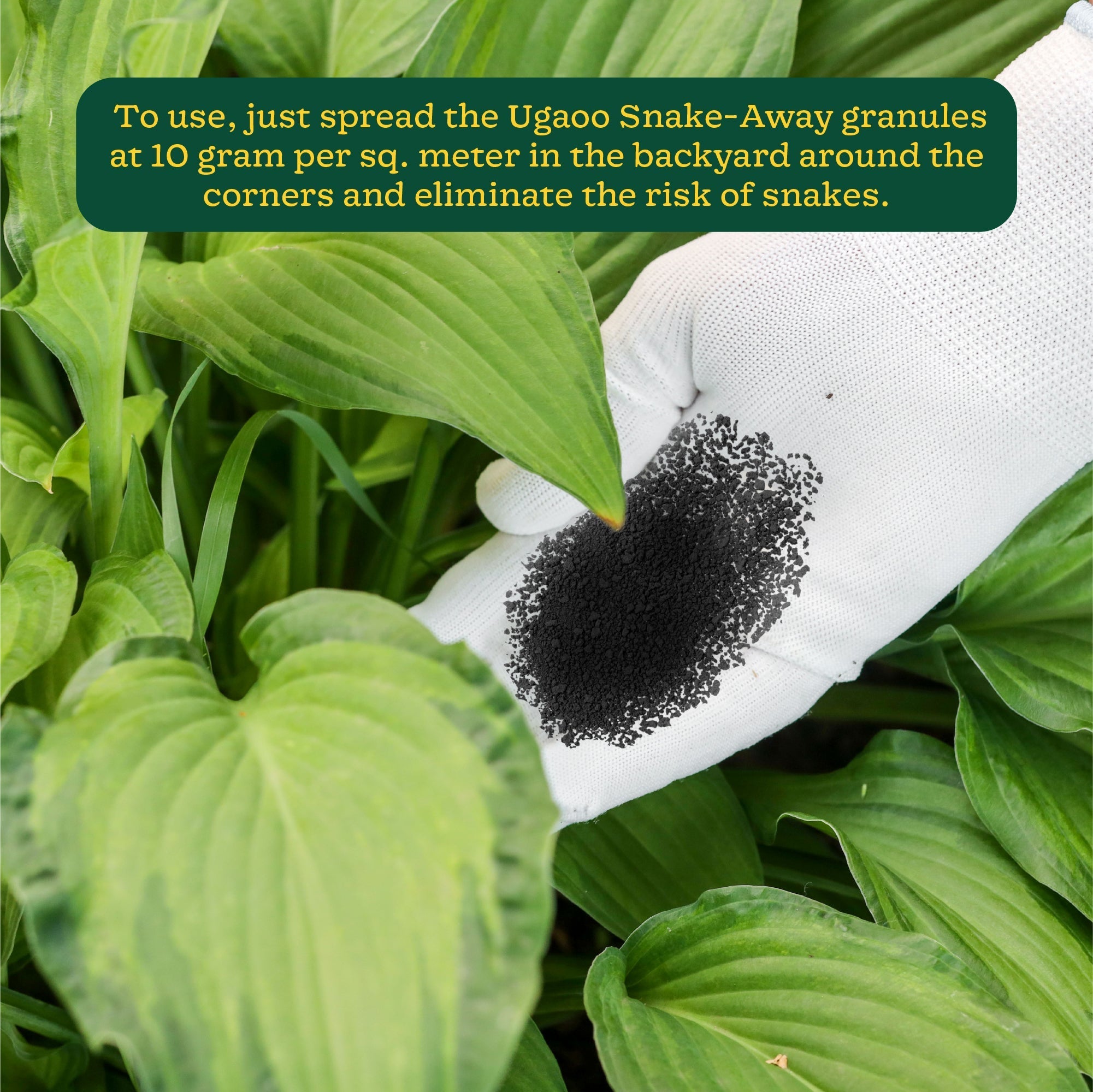 Ugaoo Herbal Snake Repellent Granules - 1 Kg - view 4