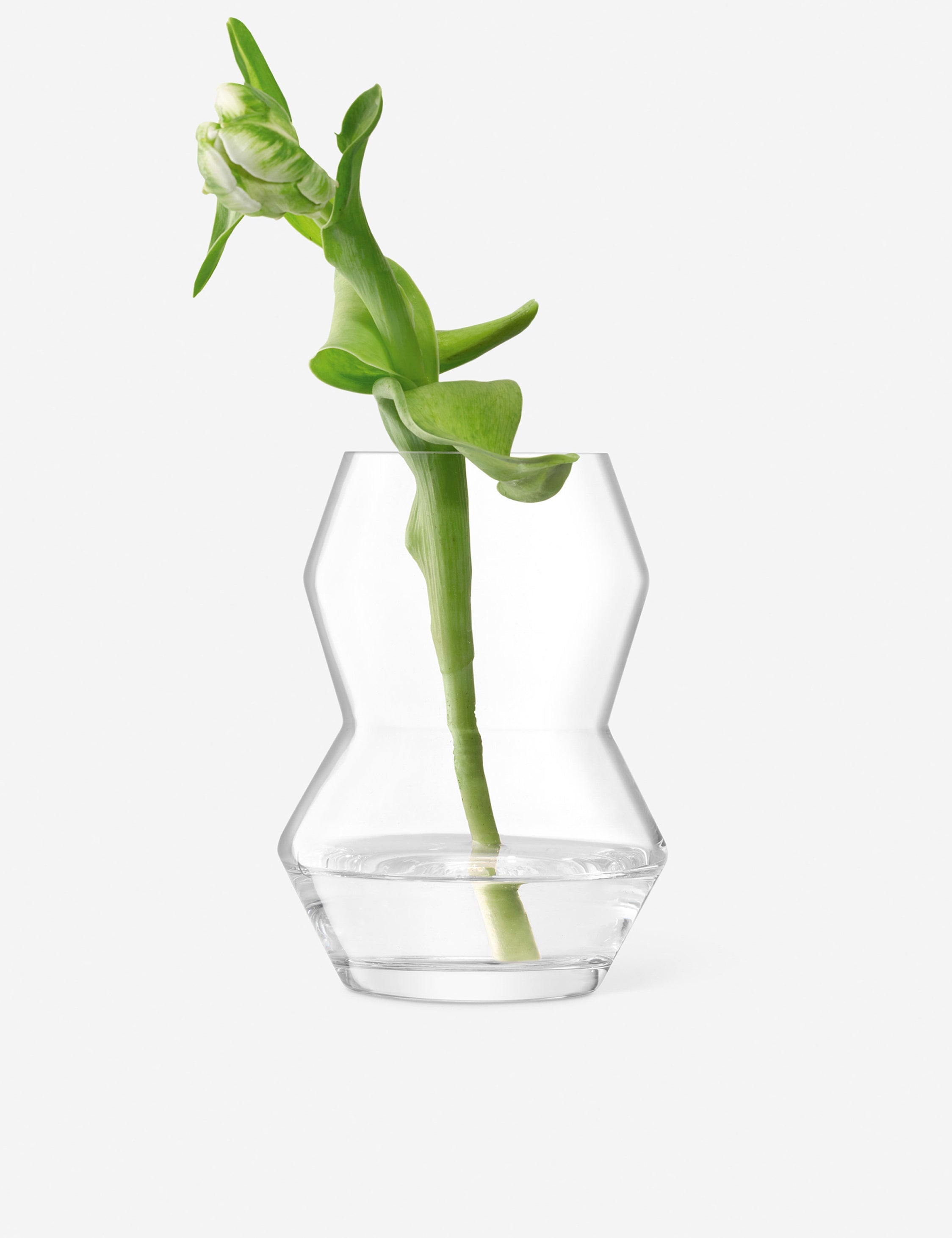 Lulu and Georgia Sculpt Vase by LSA International - view 2