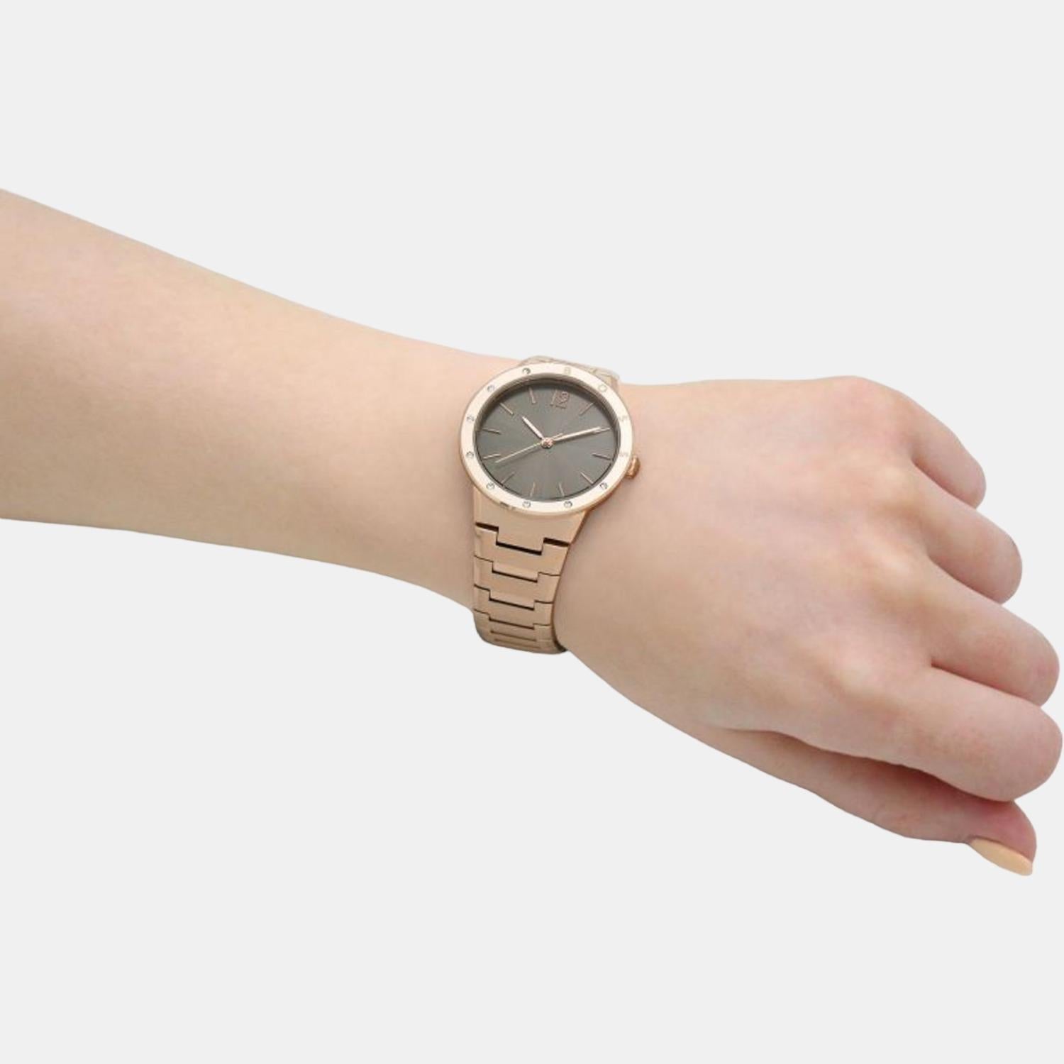 Boss Breath Women Quartz Brown Dial Analog Stainless Steel Watch 1502651 - view 4