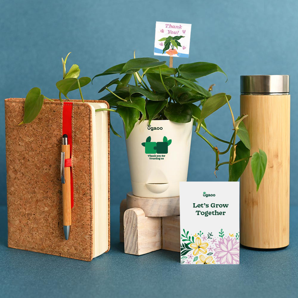 Ugaoo New year Gift Hamper for Employee Gifting