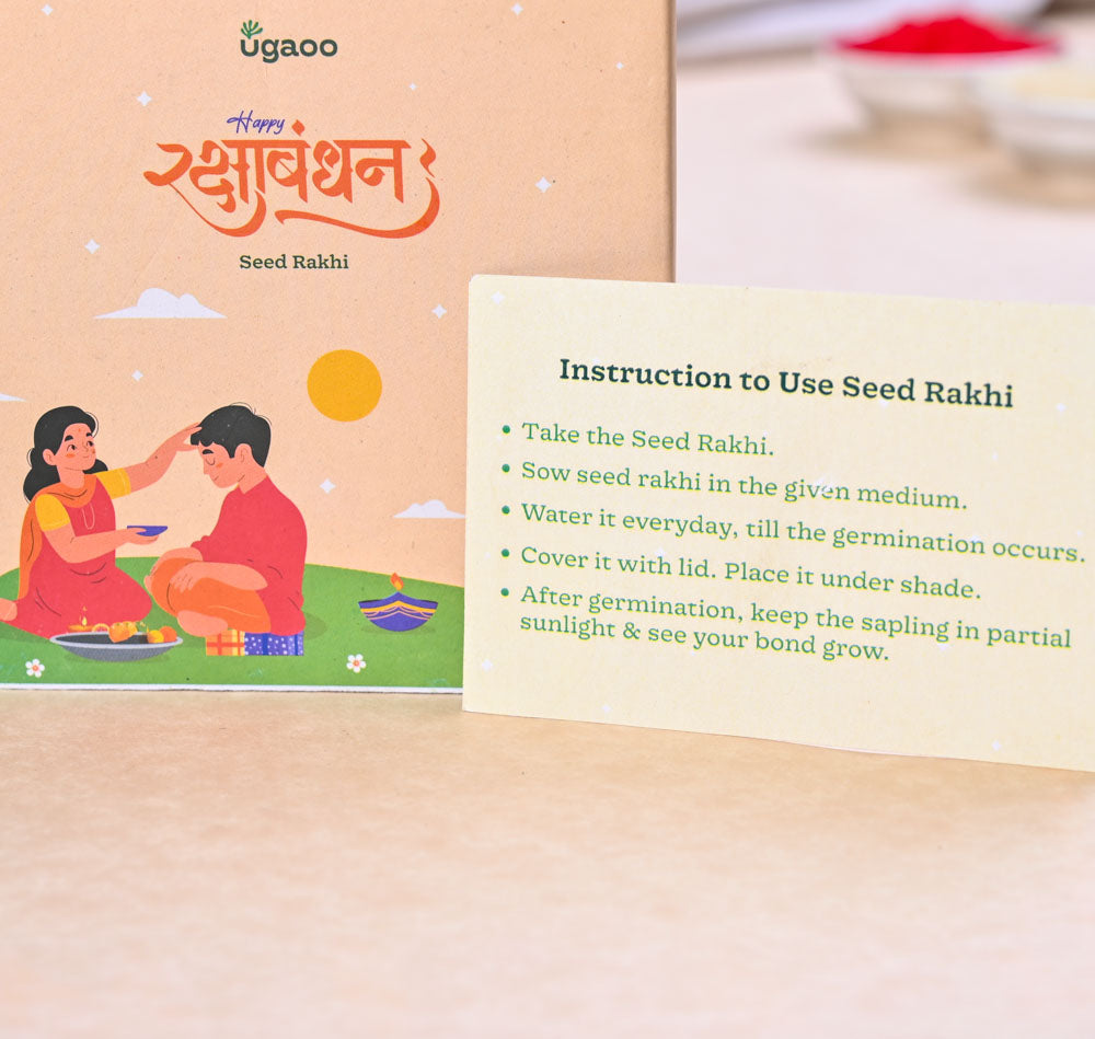 Ugaoo Plantable Seed Rakhi with Cucumber & Chulai Seeds - view 5