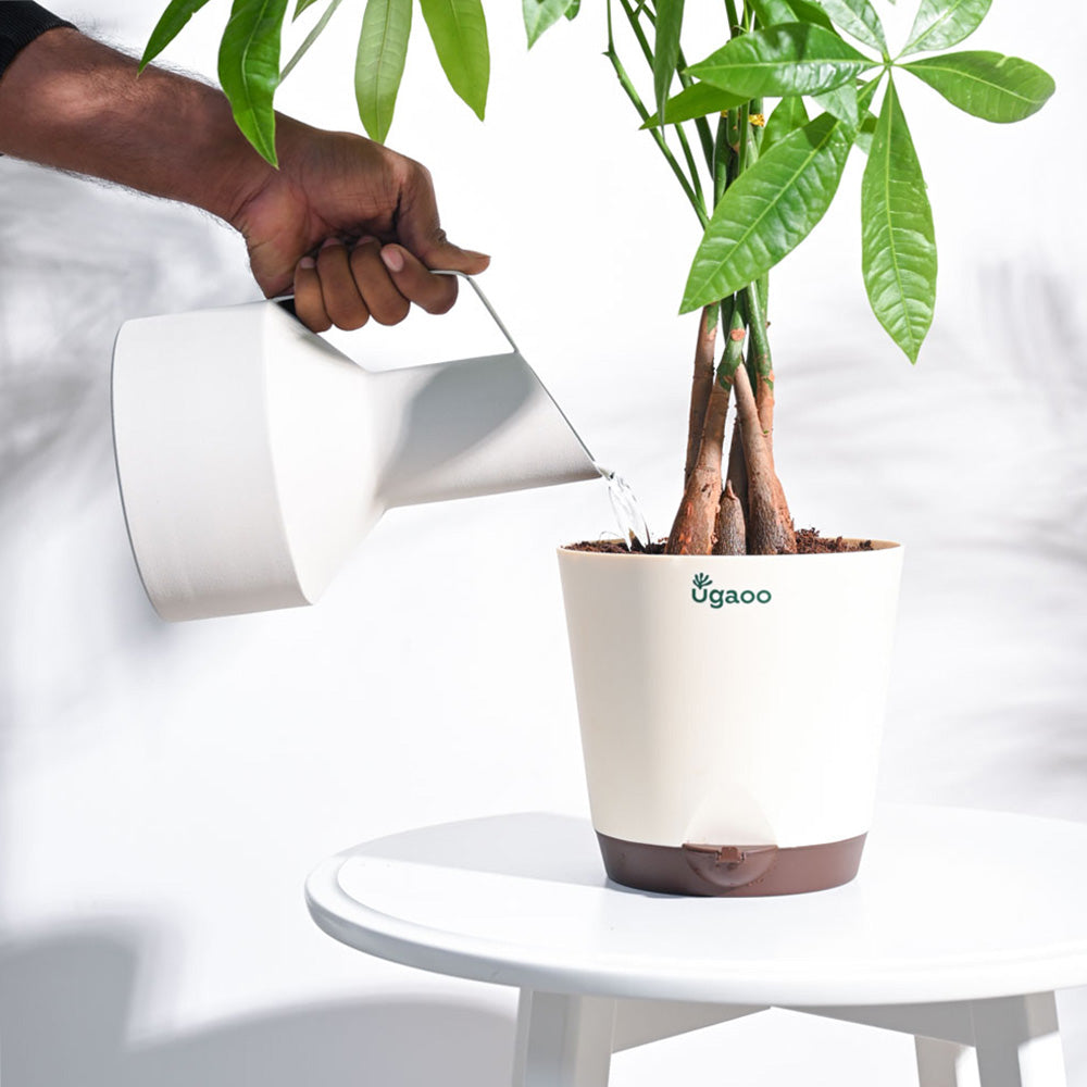 Ugaoo Hydra Watering Pitcher - view 3