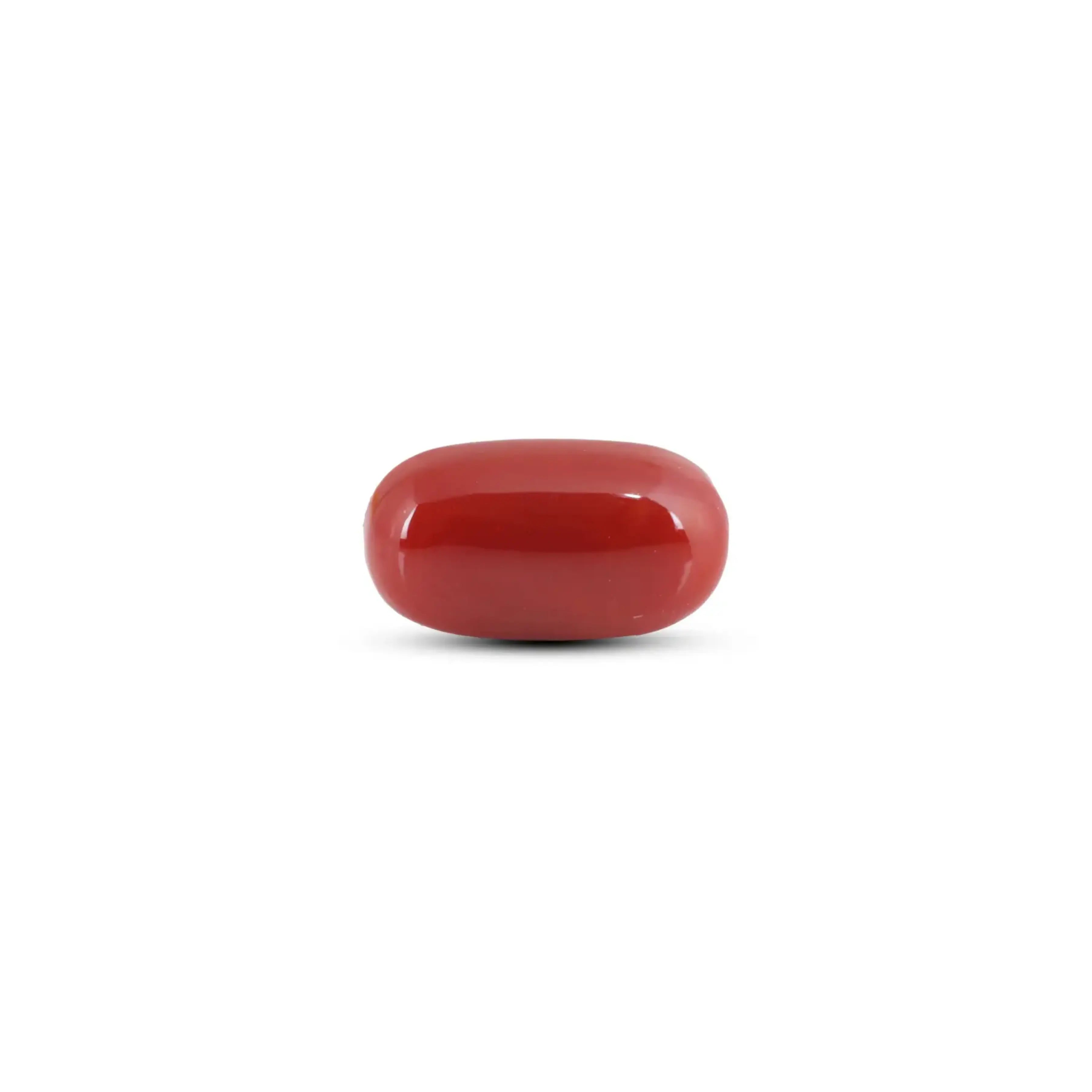 Pramogh Japanese Red Coral - 8.2 Carat