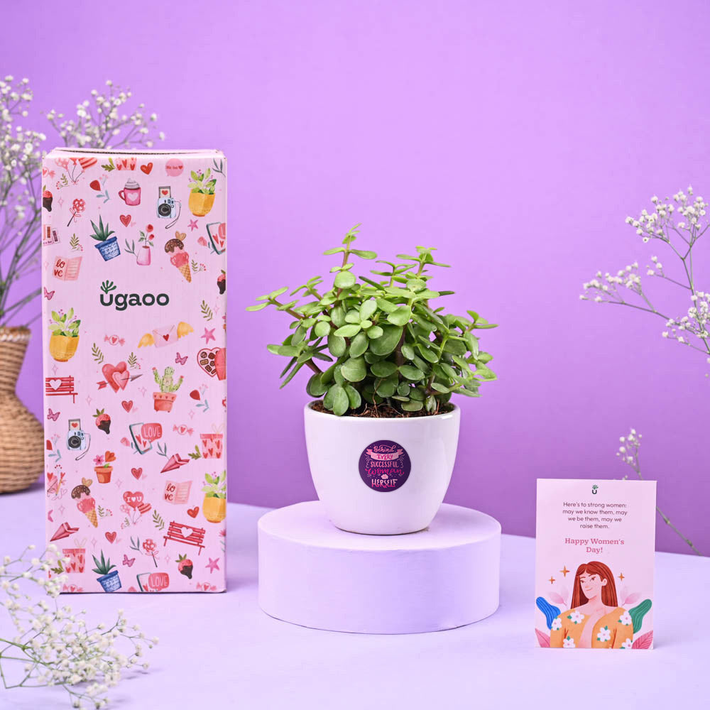 Ugaoo Jade Mini Plant Women's Day Gift