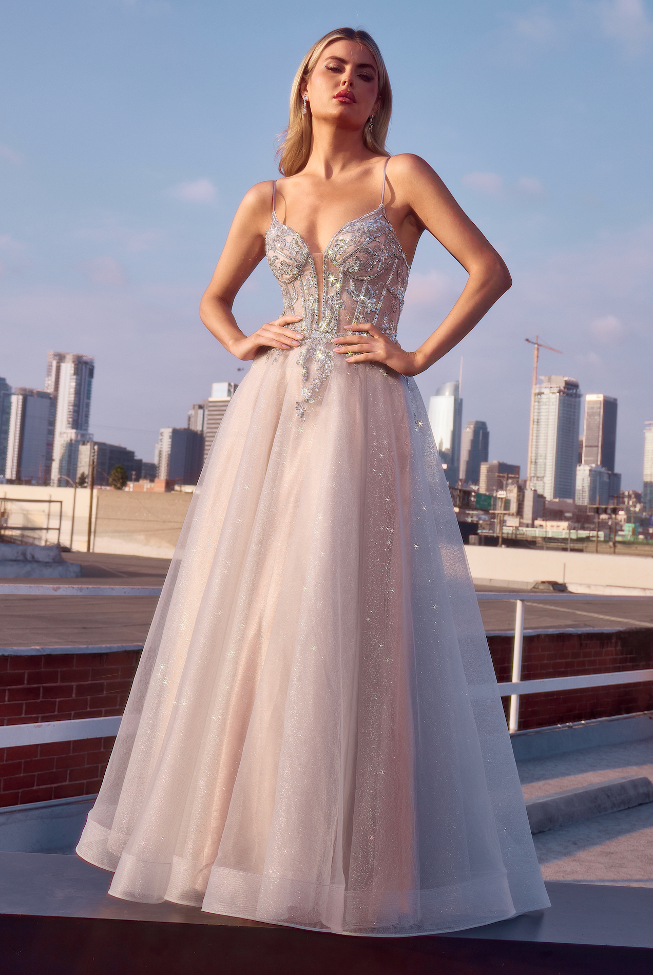 Cinderella Divine Applique Sleeveless Tulle Gown by Ladivine CC0881