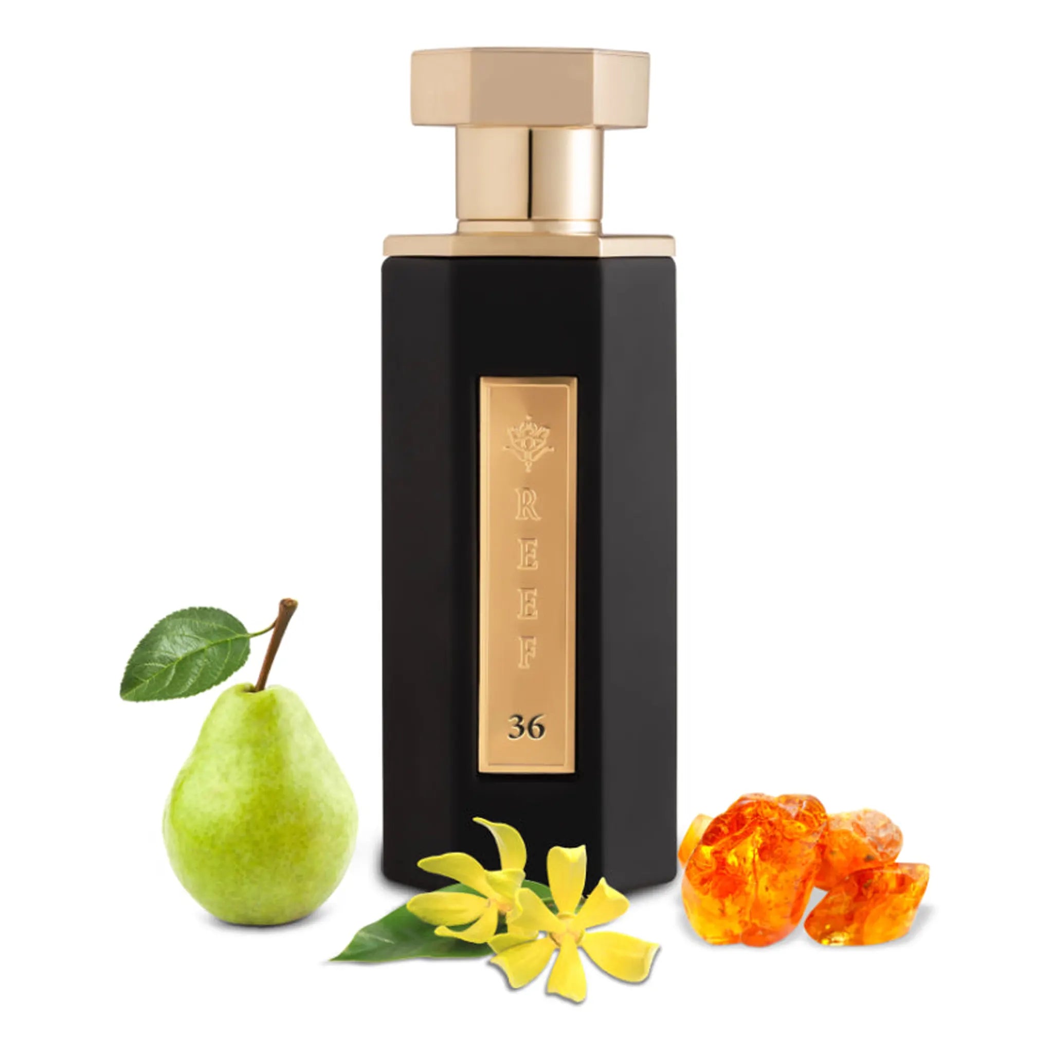 REEF Perfumes REEF 36 Eau De Parfum SAMPLE - view 2