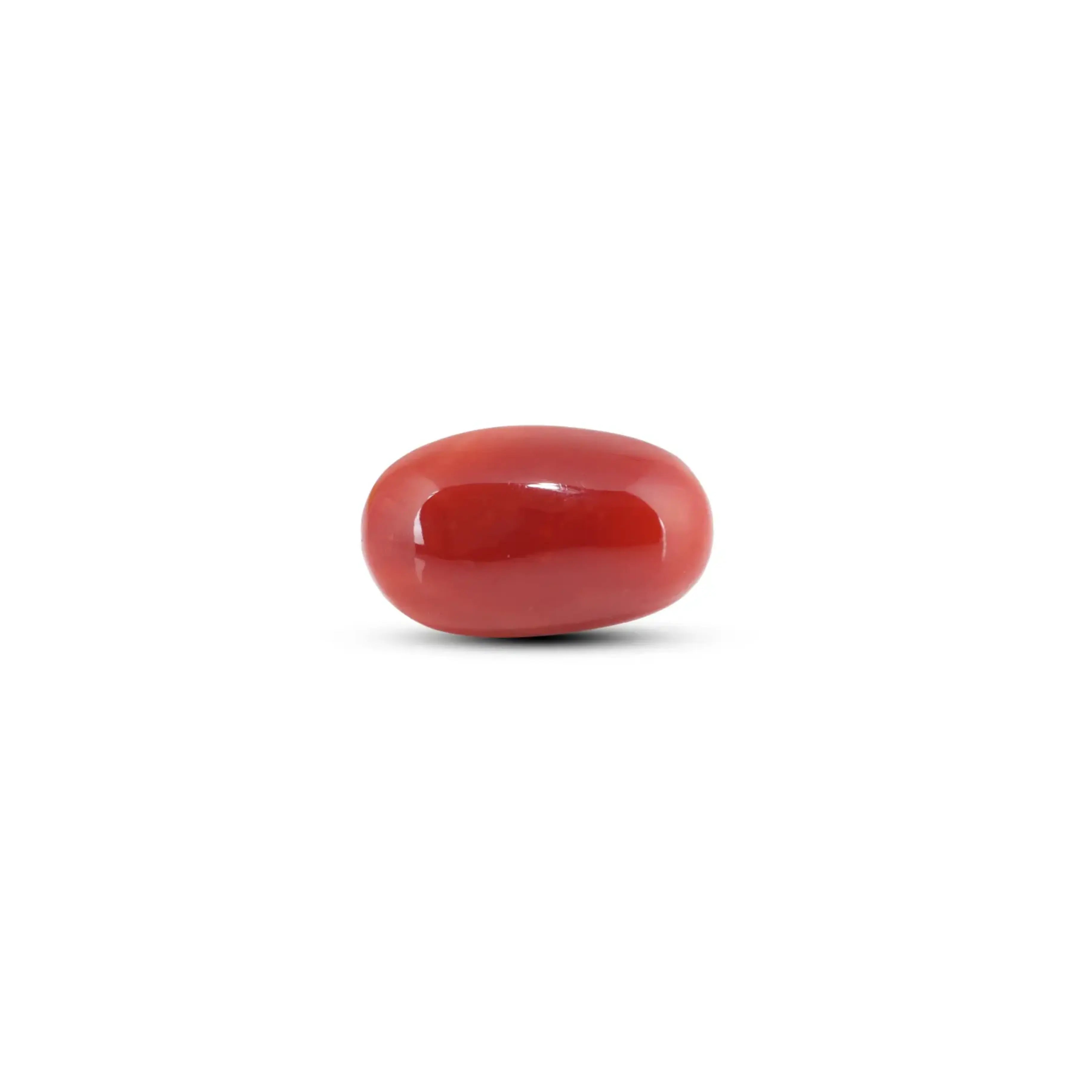 Pramogh Japanese Red Coral - 7.4 Carat
