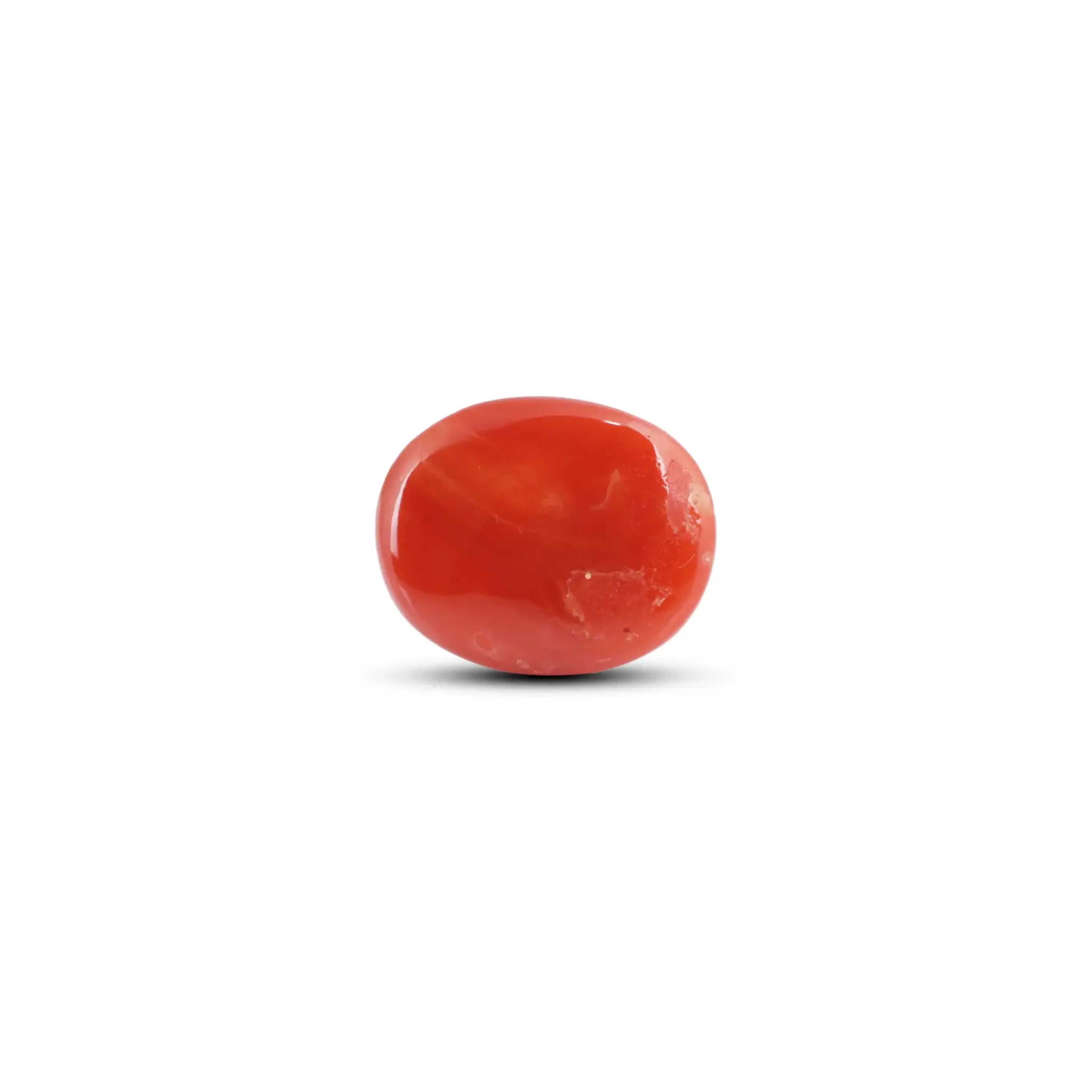Pramogh Japanese Red Coral - 10.2 Carat - view 2