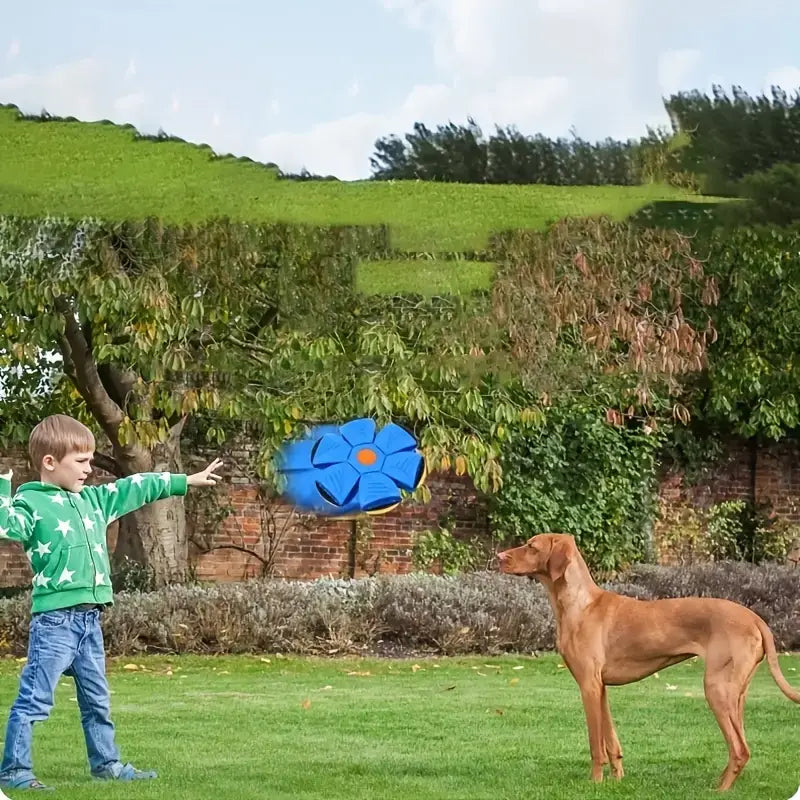 Catterton Bouncy Deformed Flying Saucer Ball - view 7