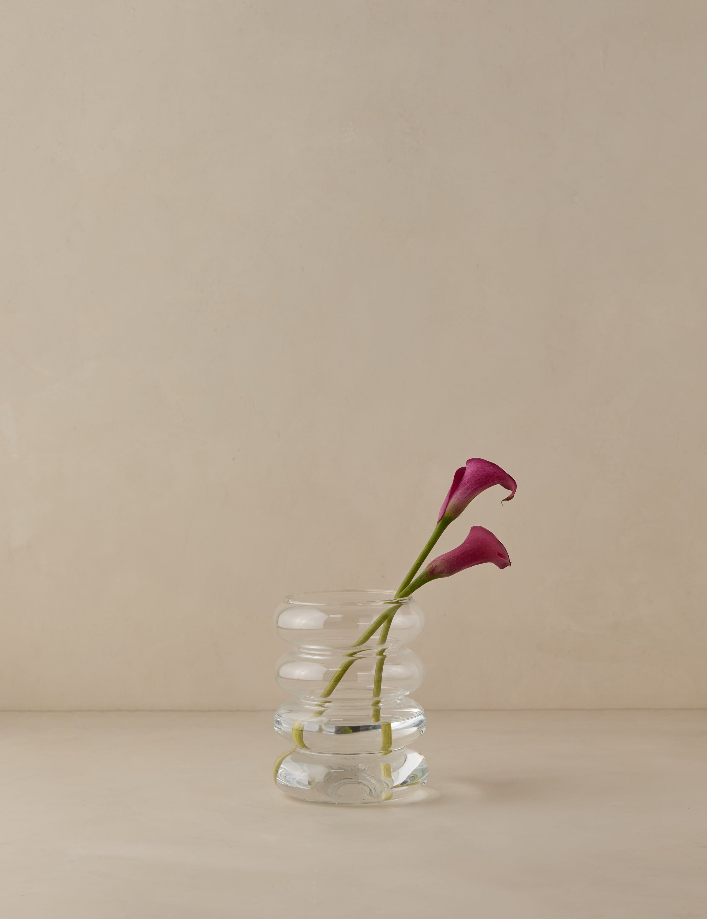Lulu and Georgia Scalloped Vase by etúHOME