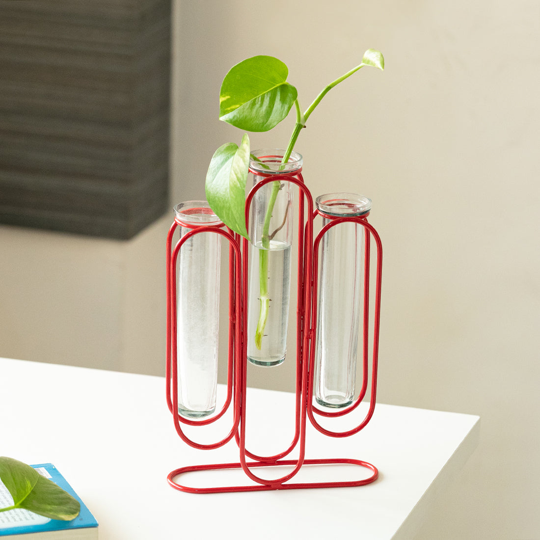 EXCLUSIVELANE 'Modern Glass Garden' Test Tube Table Planter/Vases (10 Inch, Red)