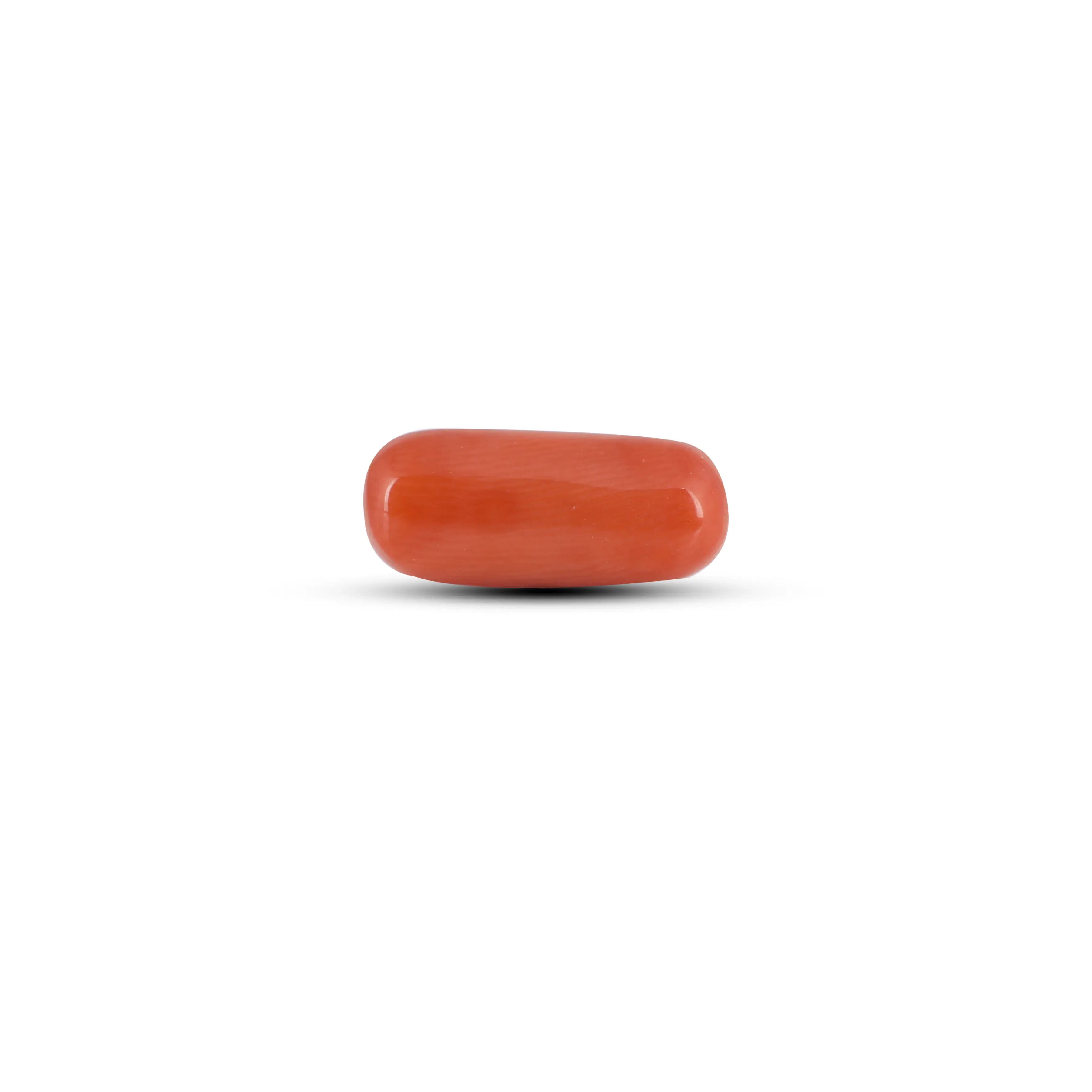 Pramogh Red Coral - 4.2 Carat