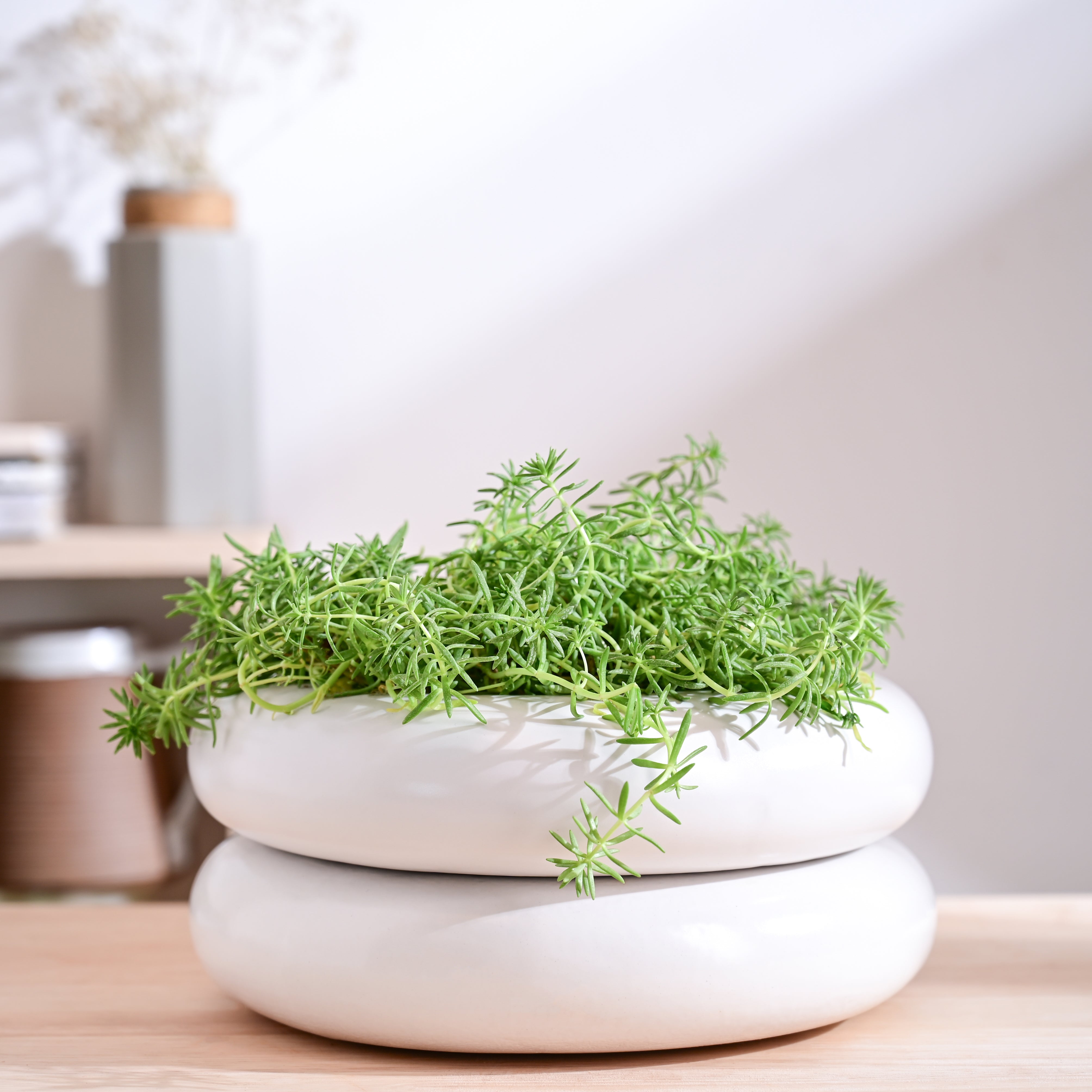 Ugaoo Tiny Kisses Ceramic Planter - view 9