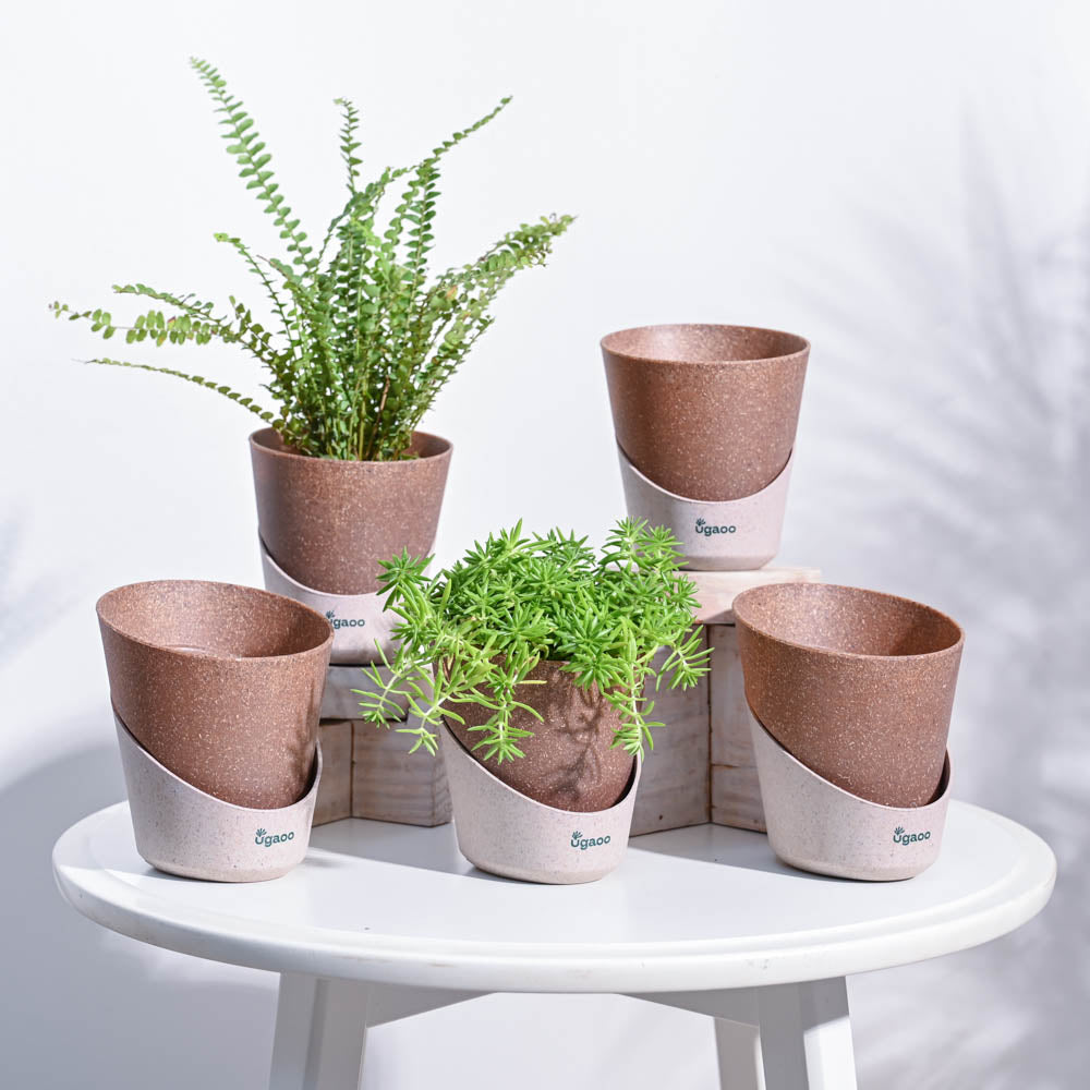 Ugaoo Atlantis Self Watering Planter - 4 Inch (Set of 5)