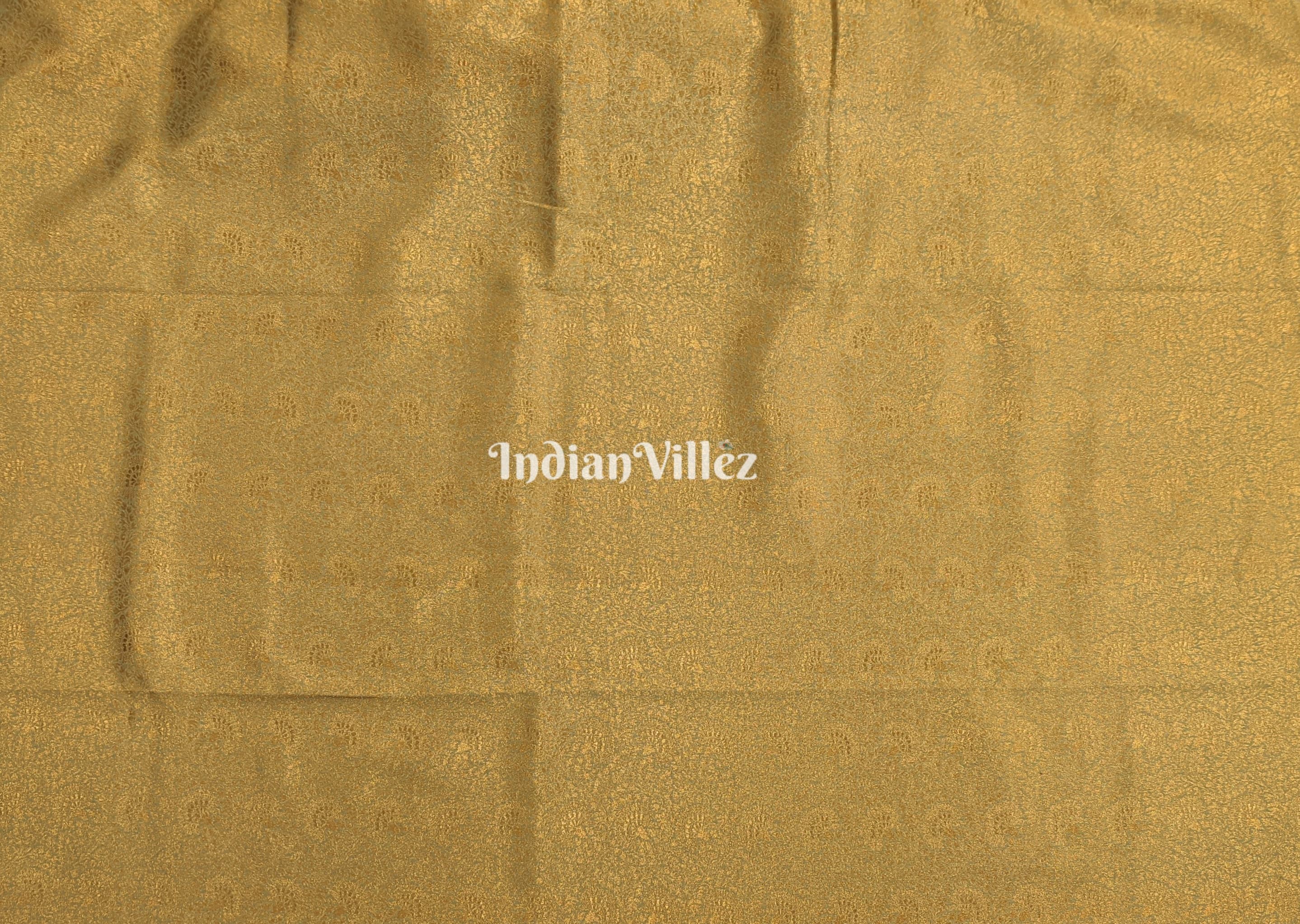 IndianVillèz Green Dual Tone Zari Woven Banarasi Tissue Saree - view 5
