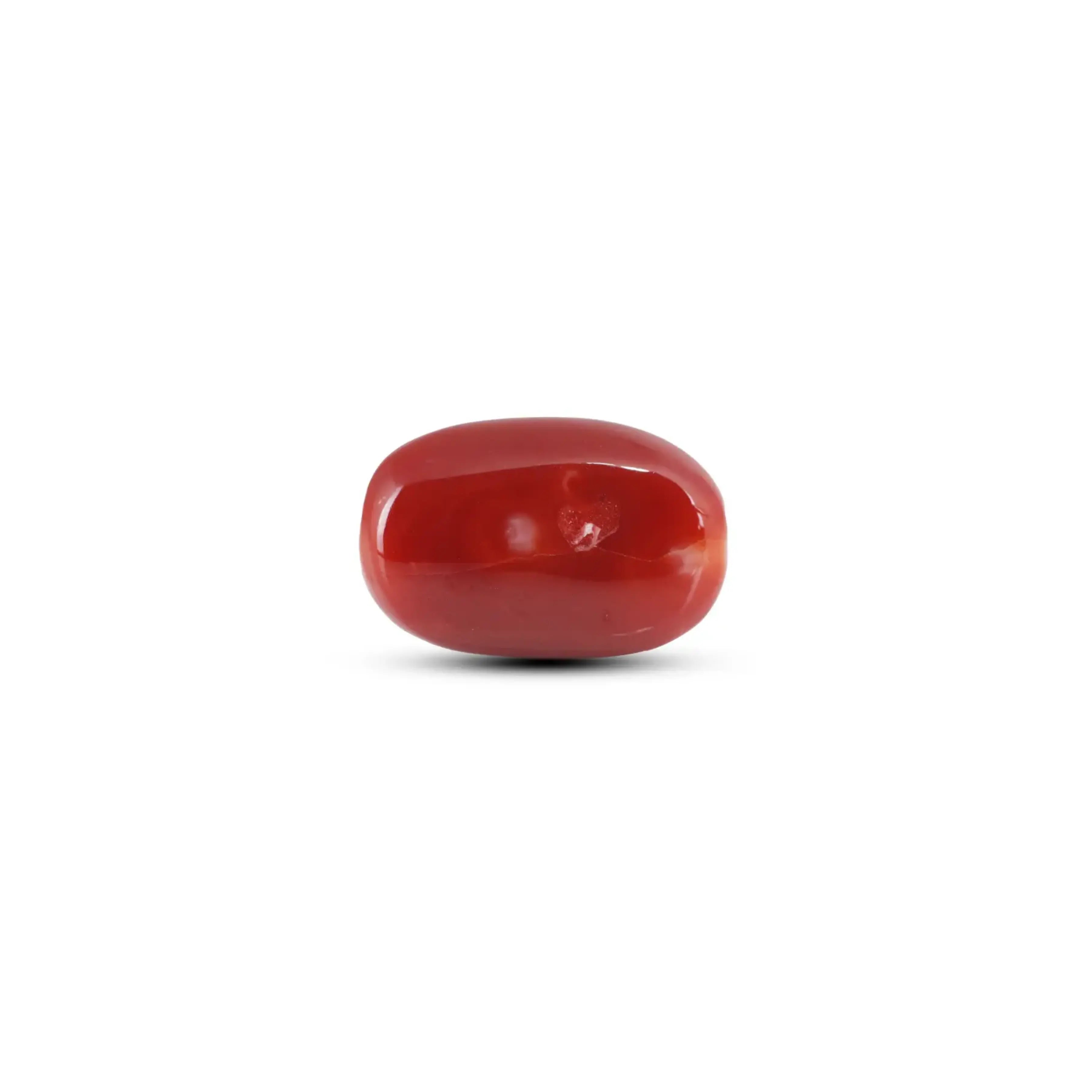 Pramogh Japanese Red Coral - 13 Carat - view 2