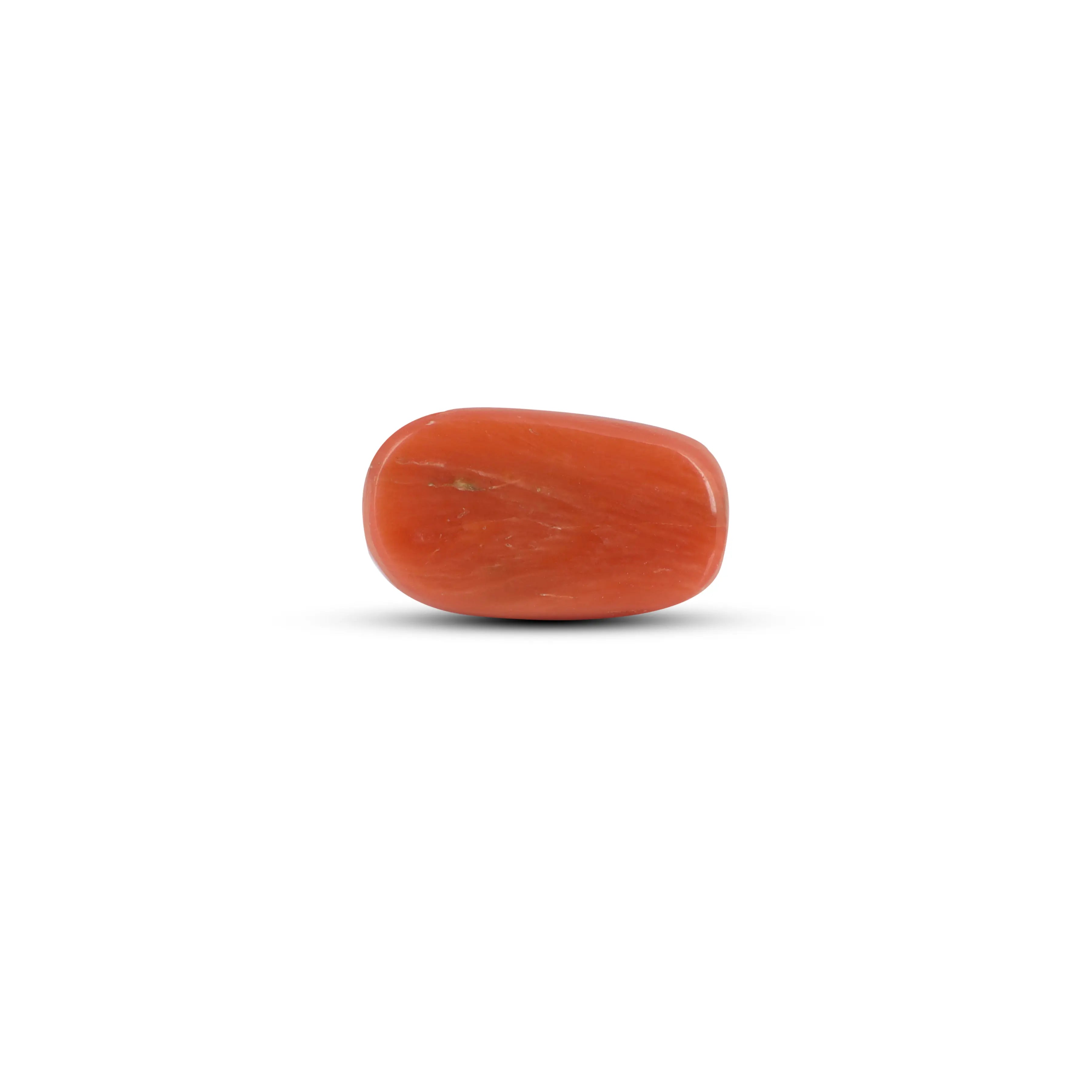 Pramogh Red Coral - 4.12 Carat - view 2