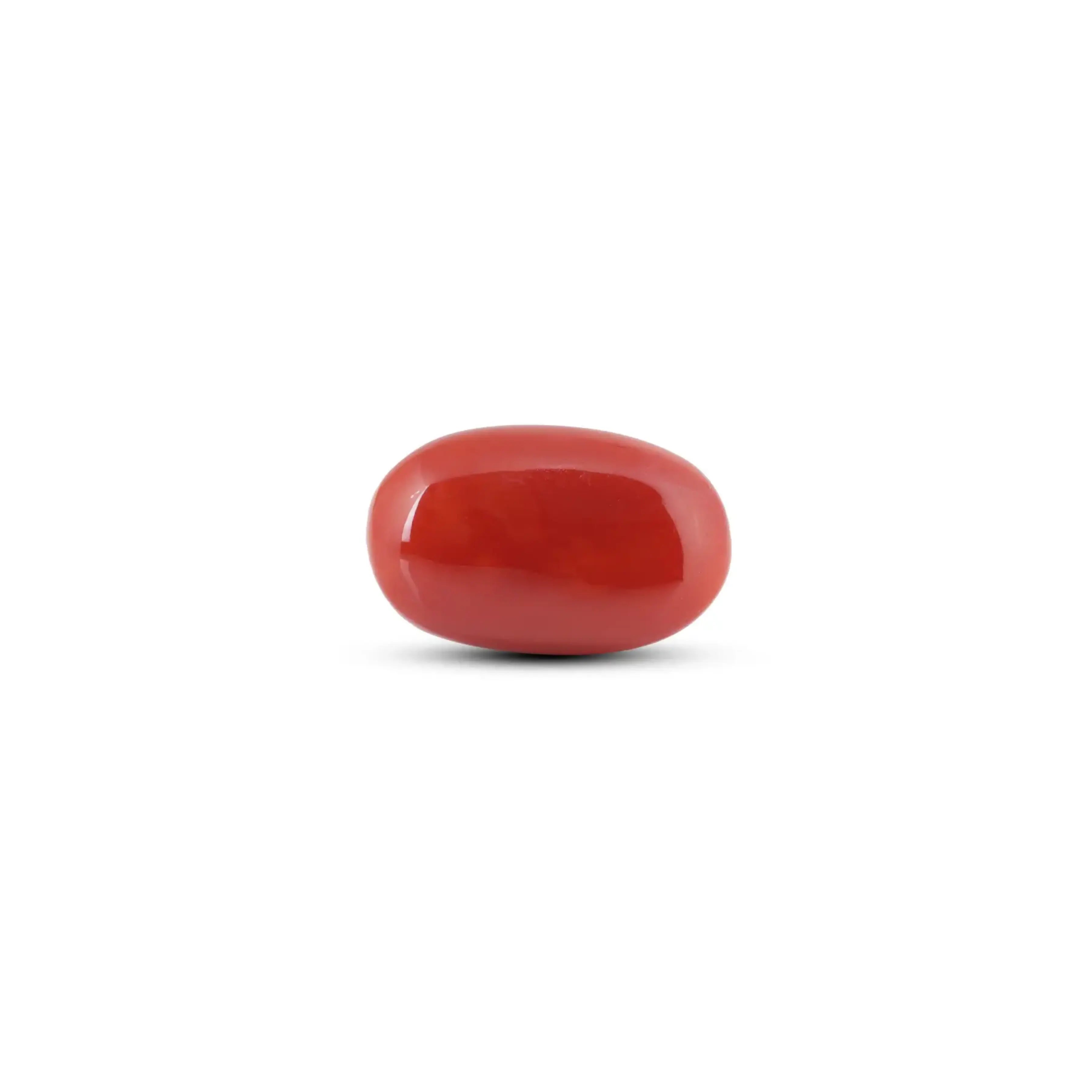 Pramogh Japanese Red Coral - 7.05 Carat