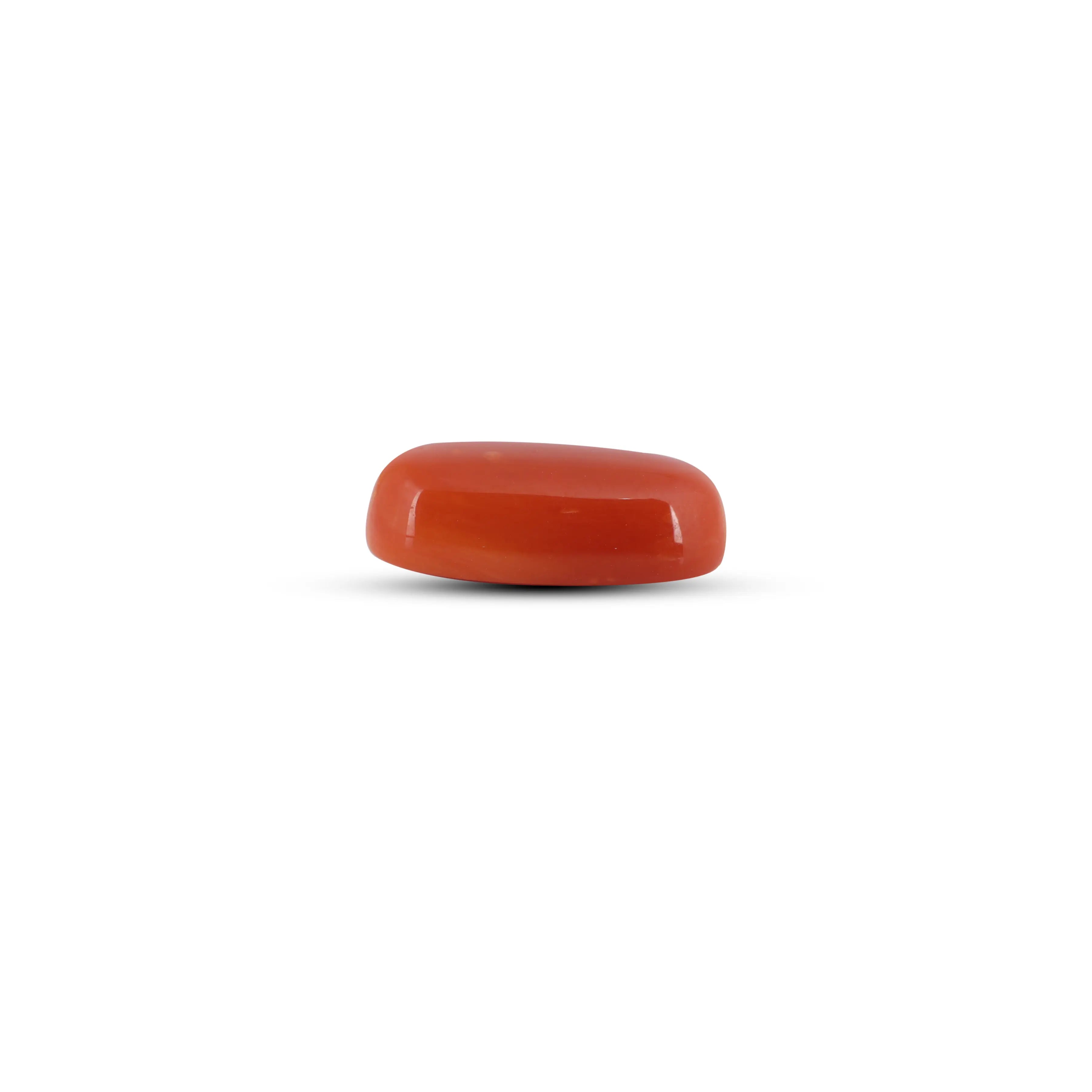 Pramogh Red Coral - 5.6 Carat - view 3