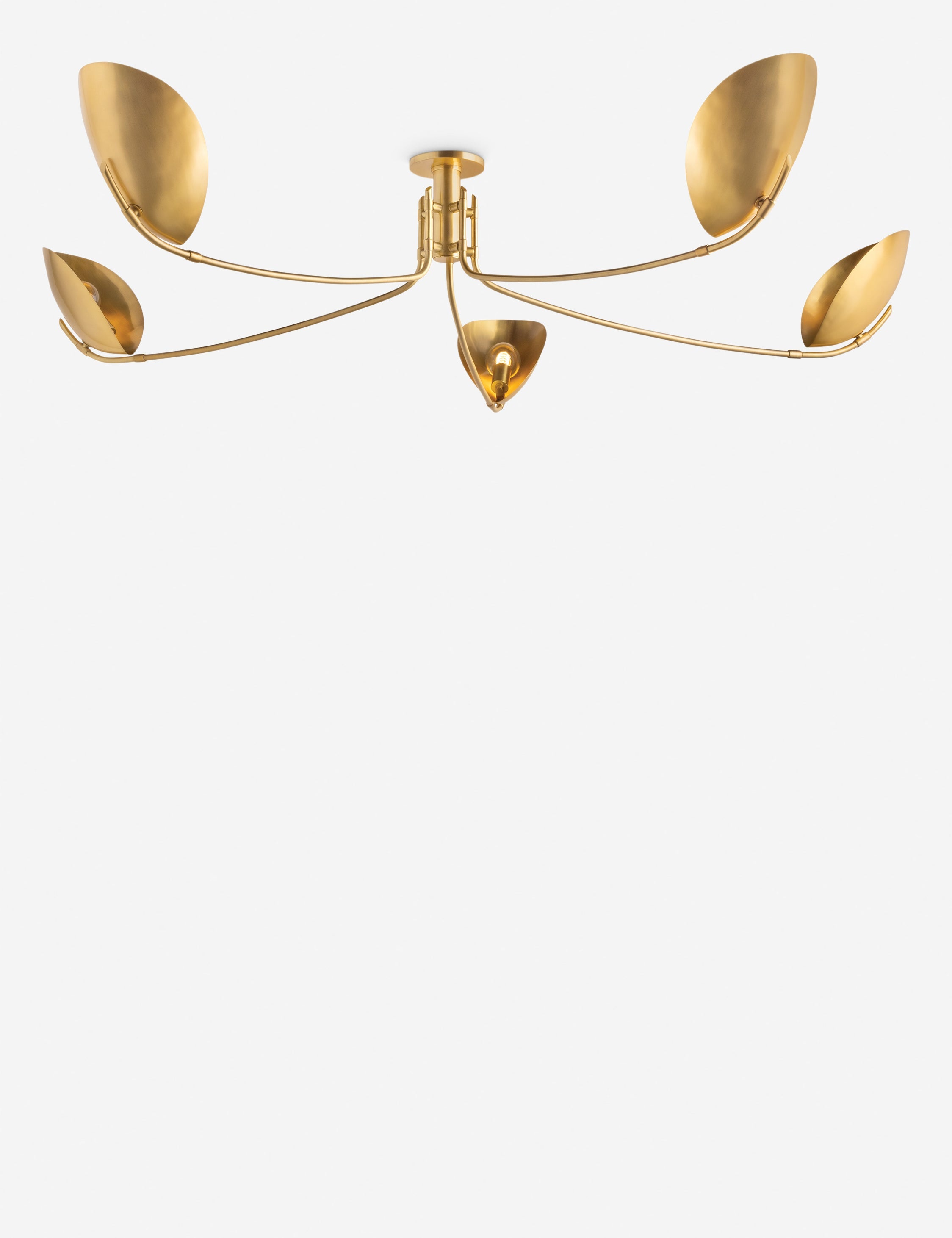 Lulu and Georgia Abanu Semi-Flush Mount Light