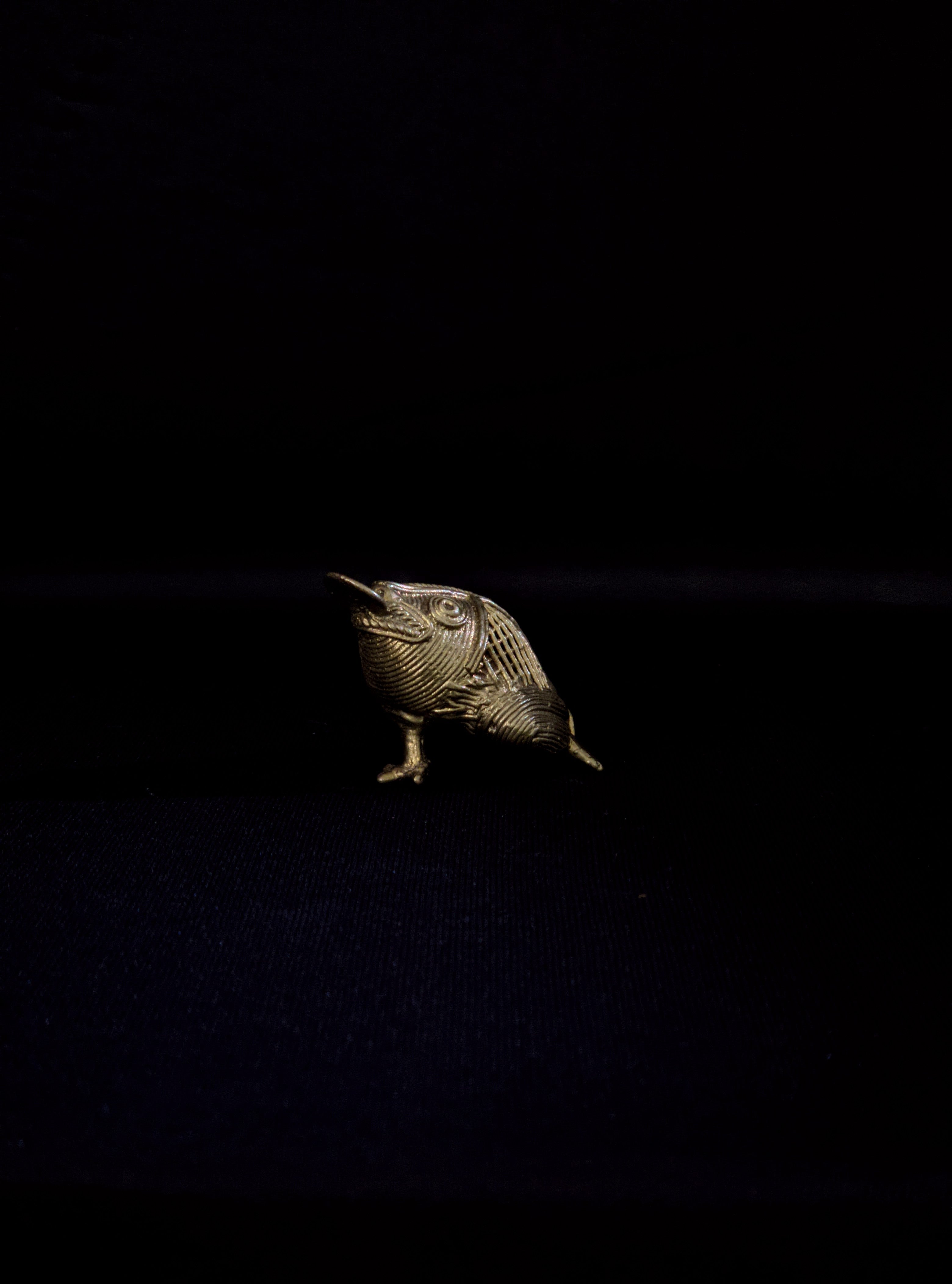 IndianVillèz Handmade Dhokra Coin Frog