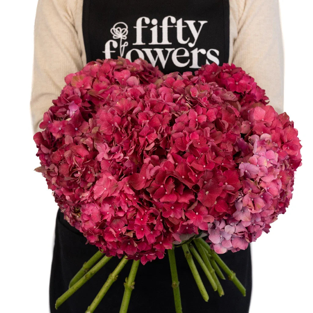 FiftyFlowers Crimson Red Hydrangea Flowers - view 4