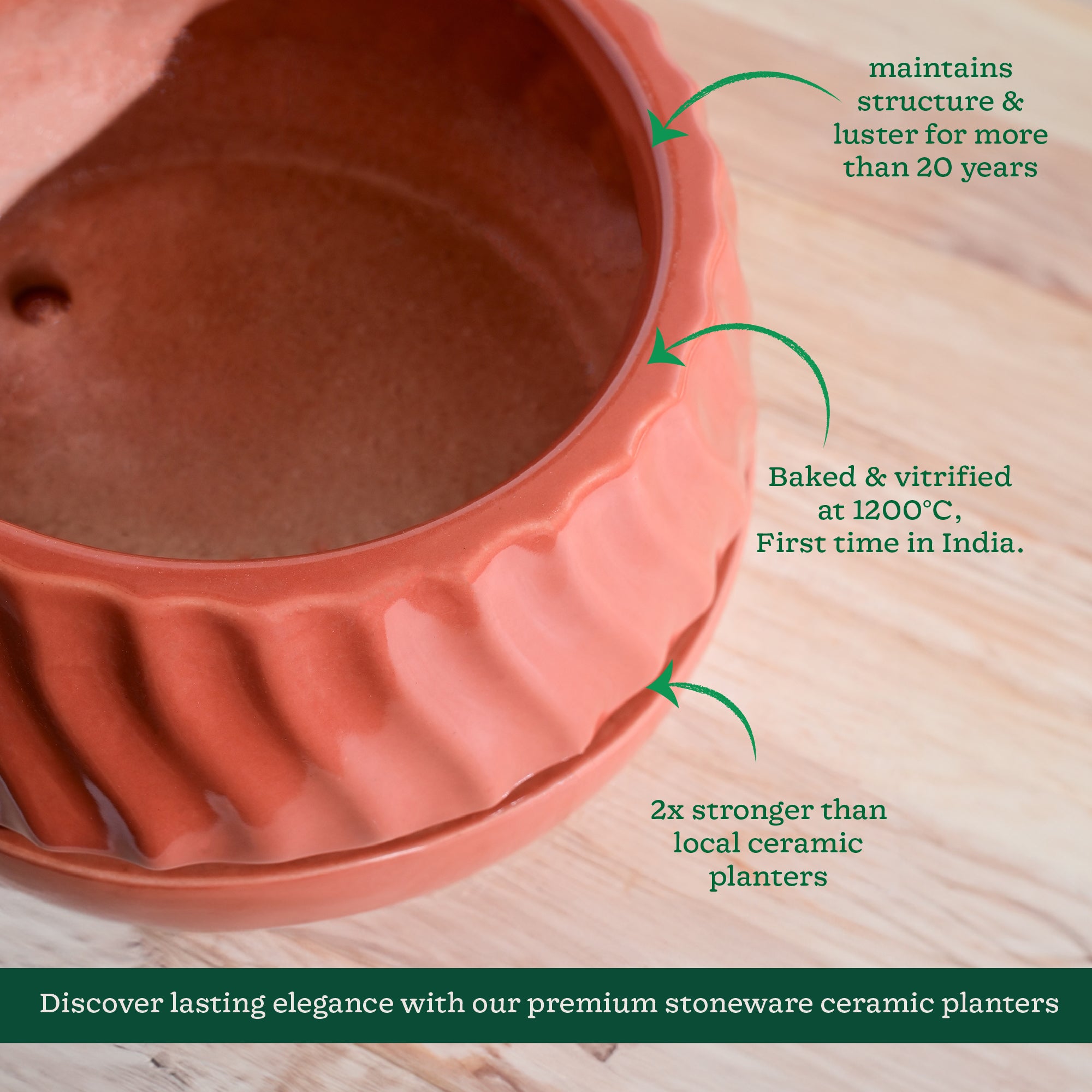 Ugaoo Fallen Angel Ceramic Planter - view 53