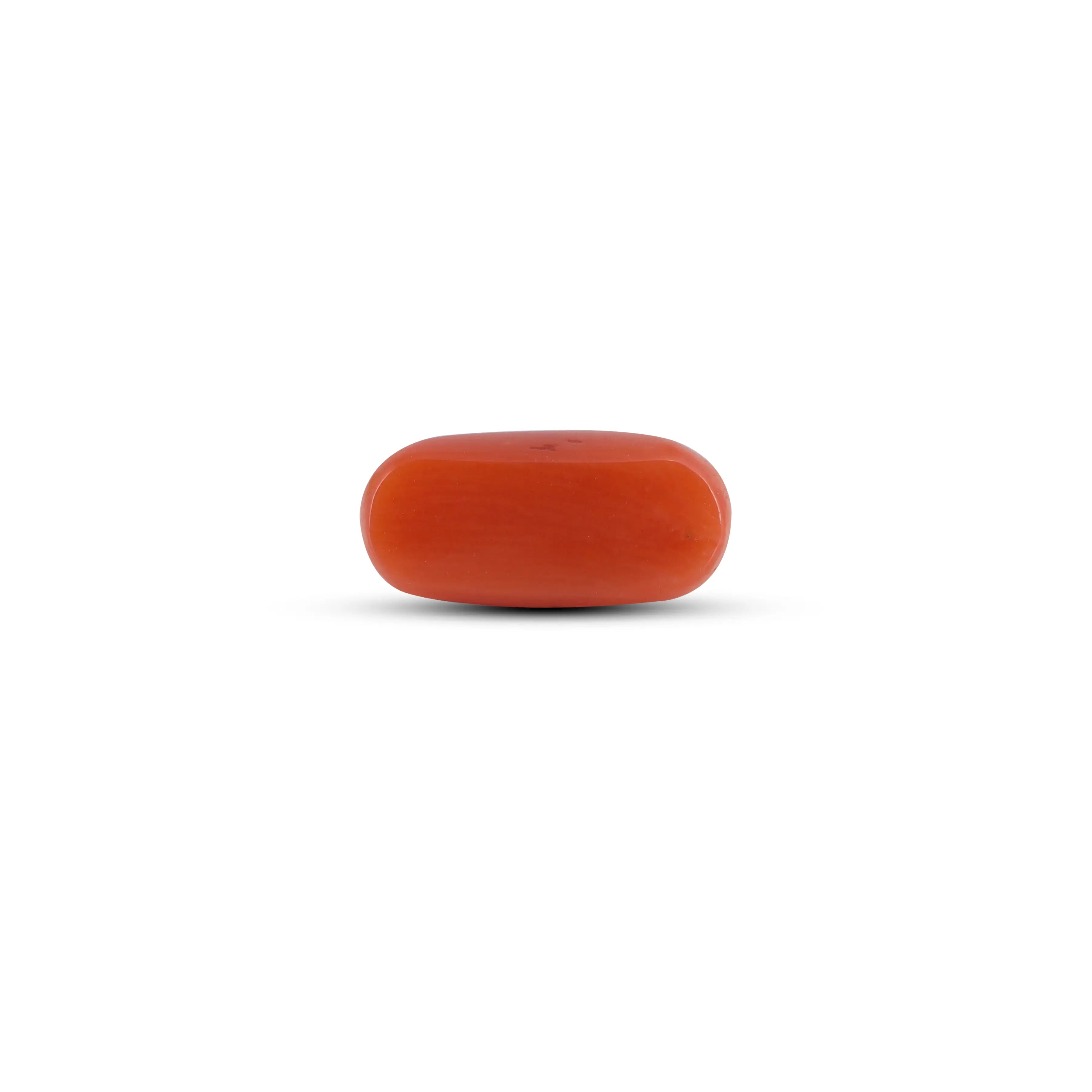 Pramogh Red Coral - 2.7 Carat - view 2