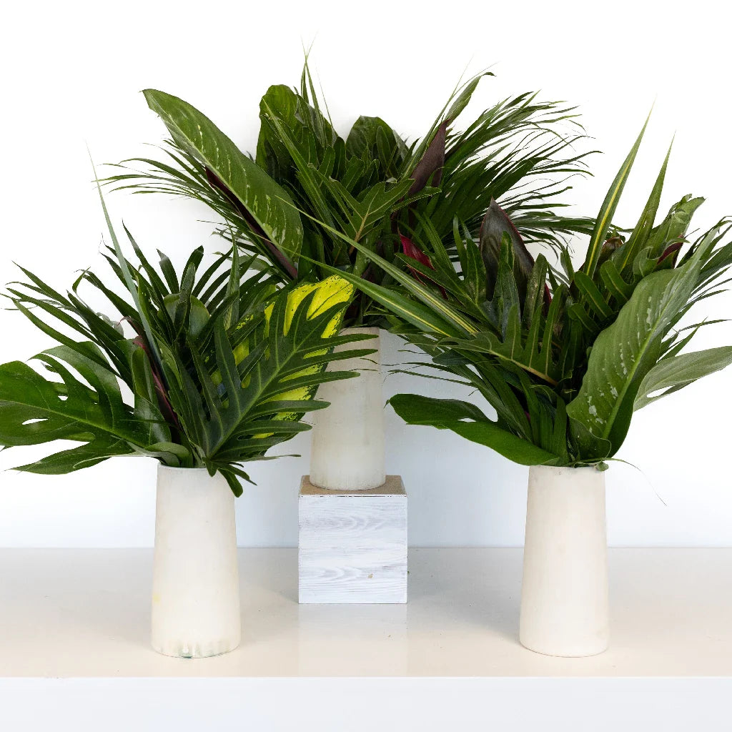 FiftyFlowers Lush Green Amazon Greenery Centerpiece