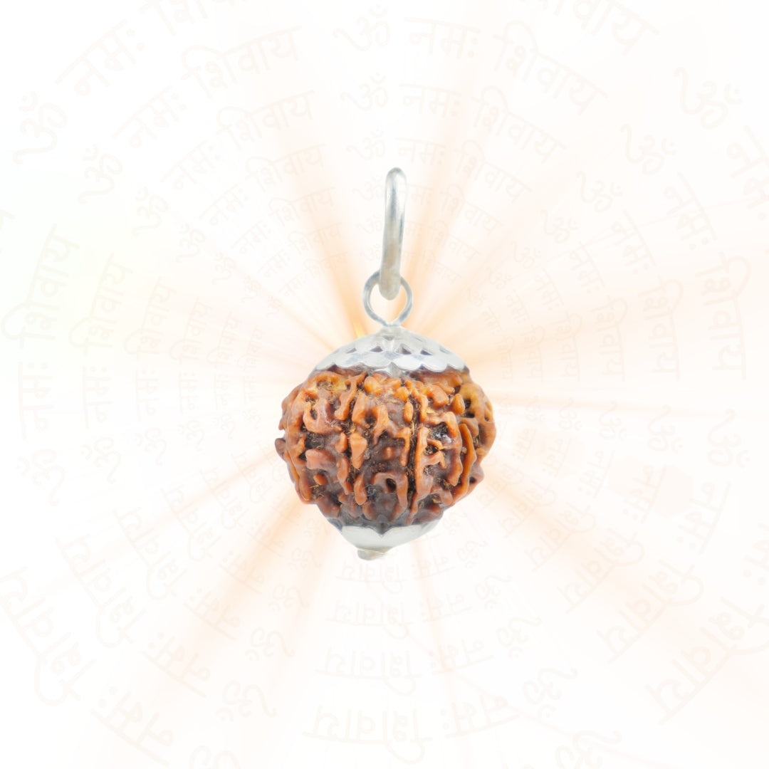 Prinjal Jewellers Silver Capping 11 Mukhi Rudraksha Pendant With Chain ( Nepali ) - view 2