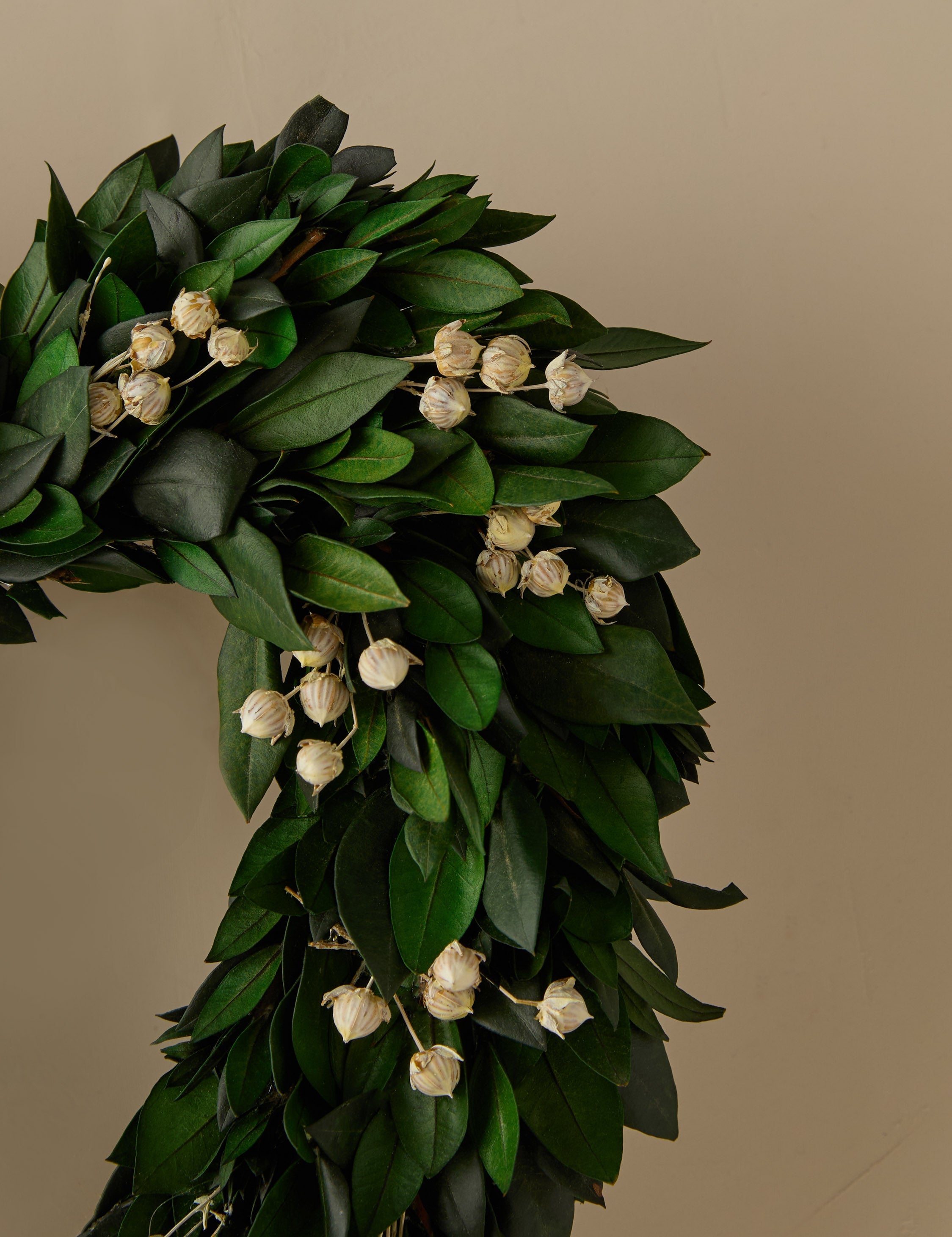 Lulu and Georgia Preserved Green Garden Heart Wreath - view 2