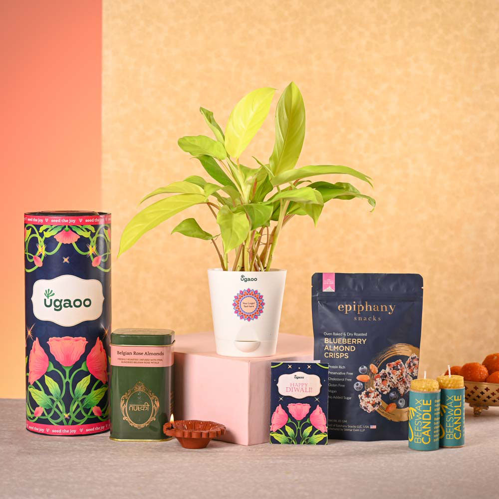 Ceylon smoor gift – Ugaoo Philodendron Ceylon & Smoor Gift Hamper