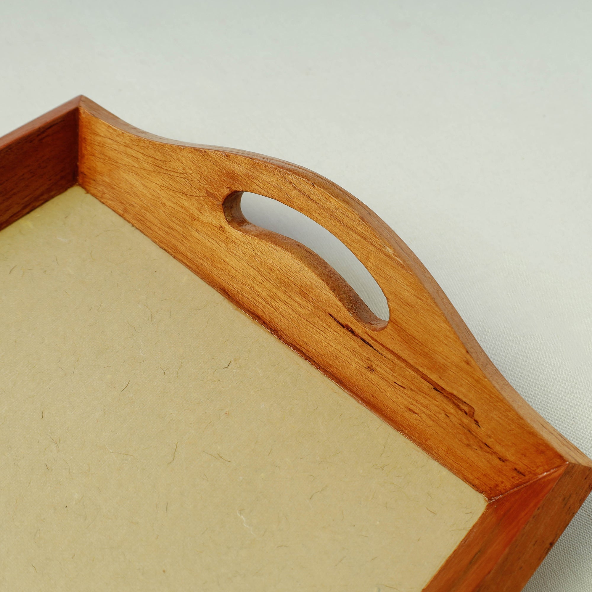 SHRADHANJALI - AN AUROVILLE UNIT Beige - Bamboo Art Work Wooden Tray with Handles (12.5 x 9 x 1 in) - view 4