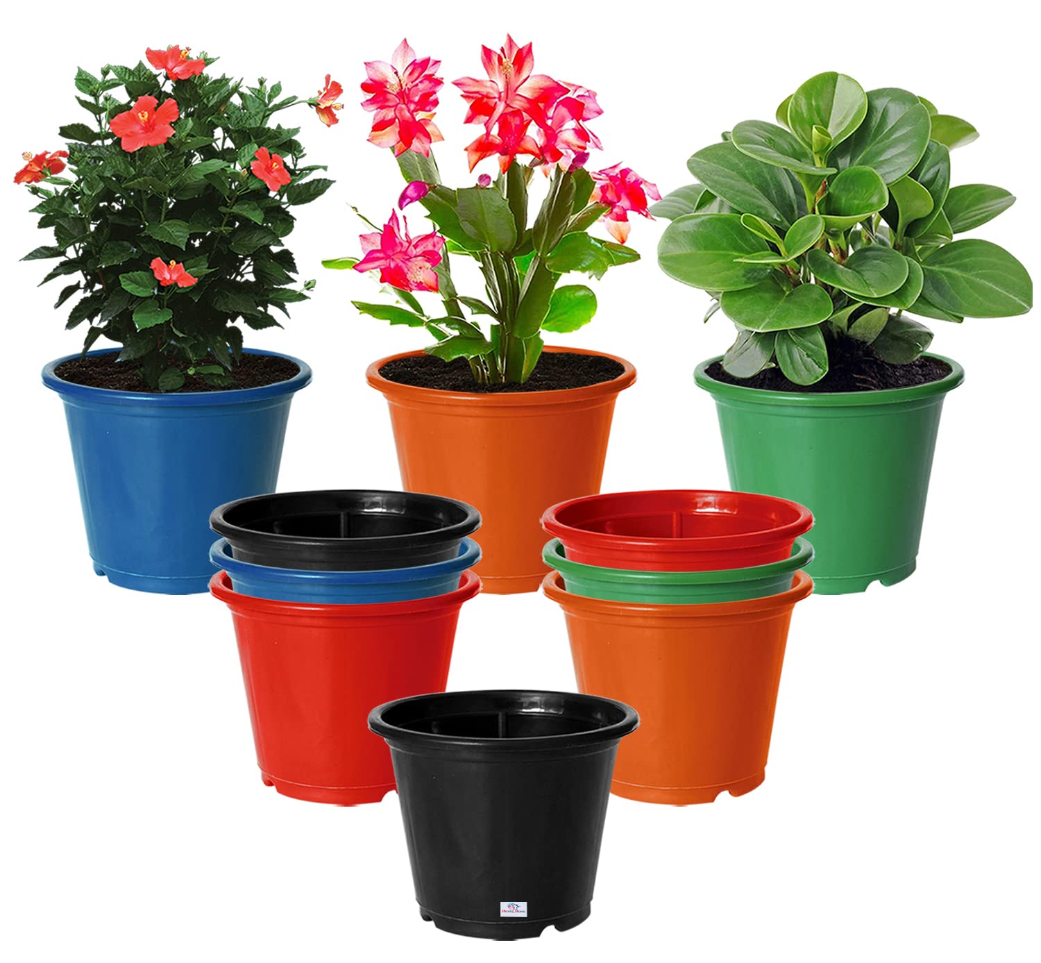 Heart Home Durable Plastic Flower Pot|Gamla for Indoor Home Decor & Outdoor Balcony,Garden,6"x5",Pack of 10 (Multicolor)