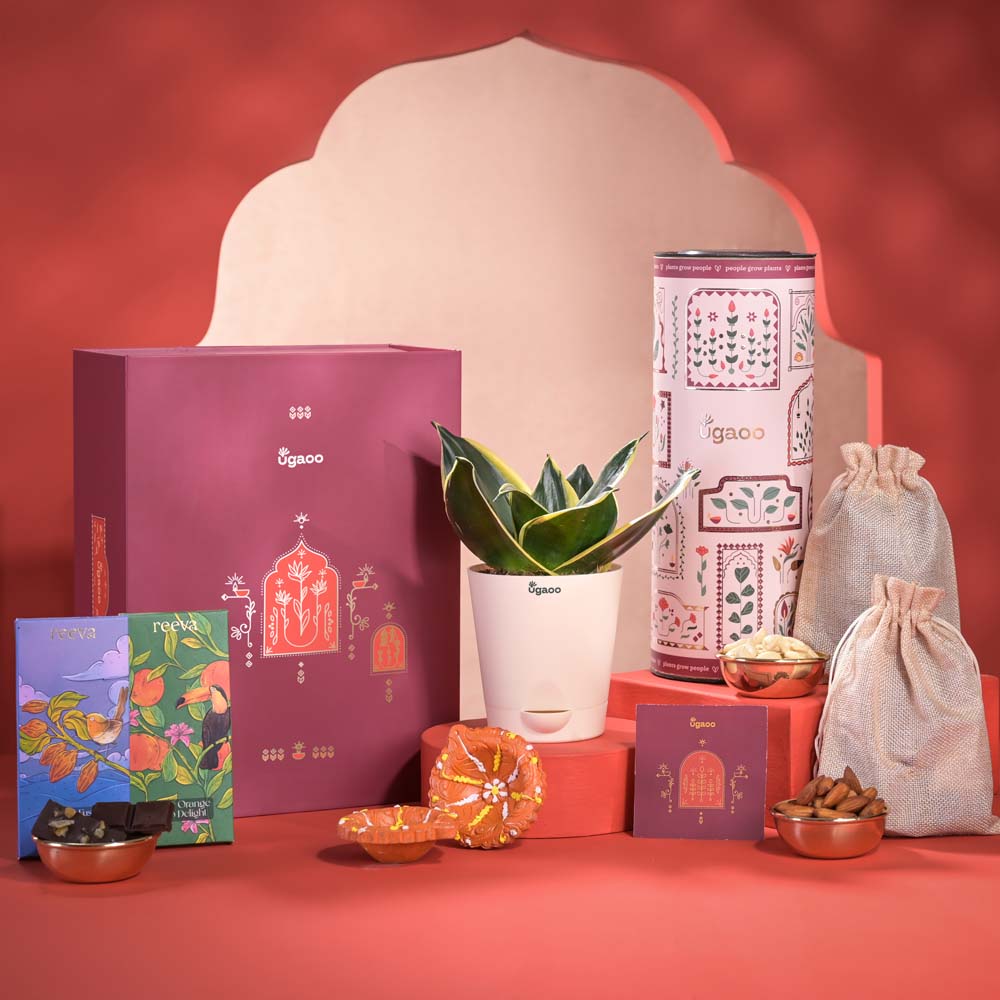 Ugaoo Radiance & Fortune Diwali Gift Hamper