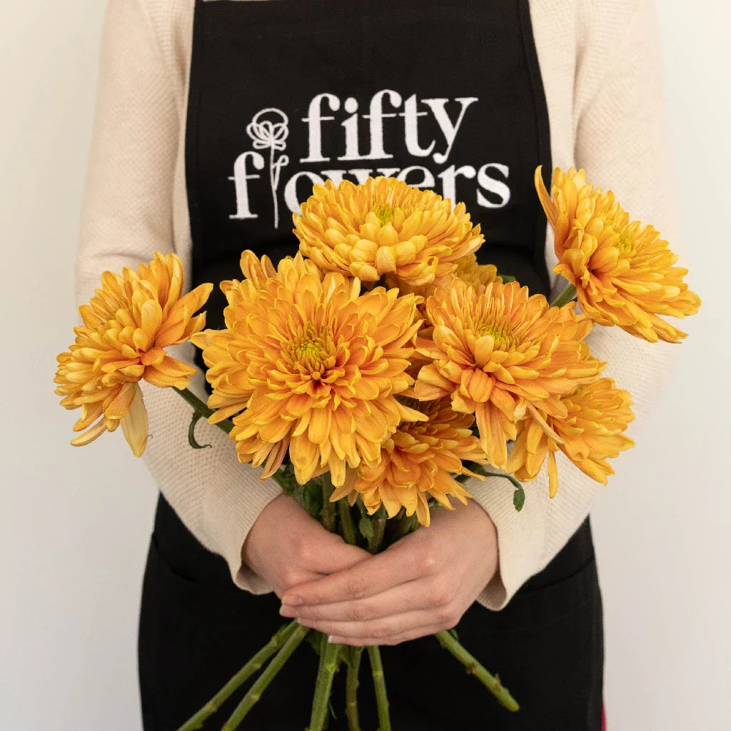 FiftyFlowers Golden Harvest Cremon