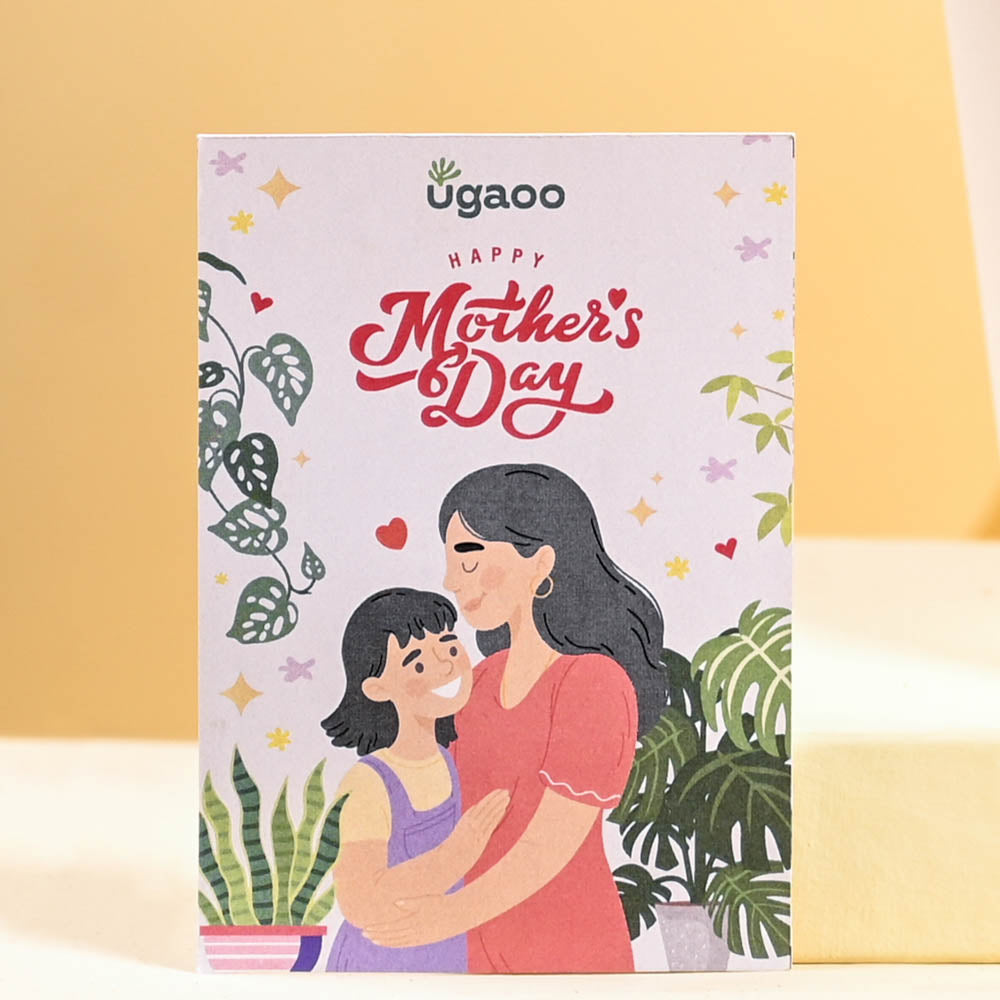 Ugaoo Spider Plant For Mother's Day Gifting - view 2
