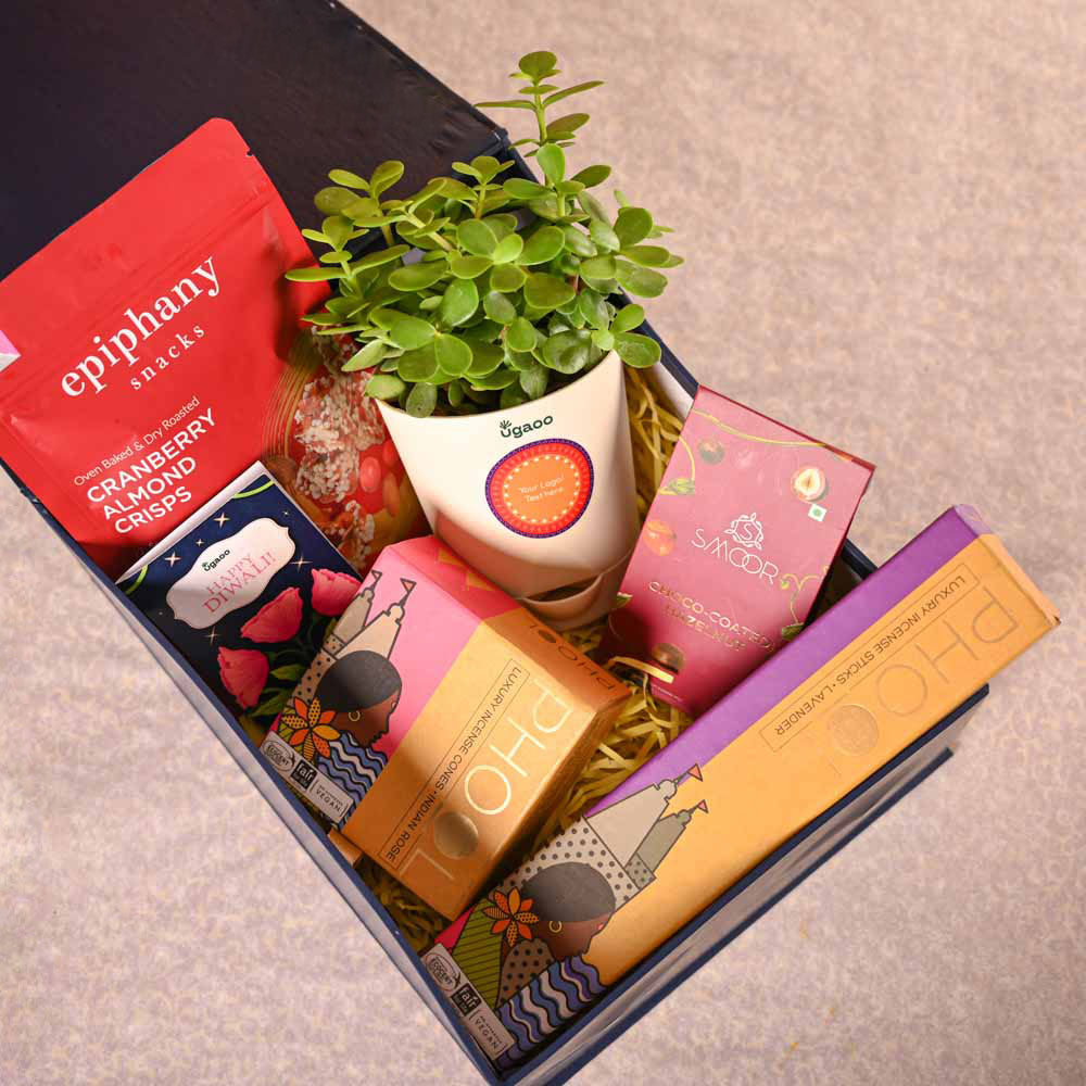 Ugaoo Jade Mini Plant & Phool Stick Box Diwali Gift Hamper - view 9