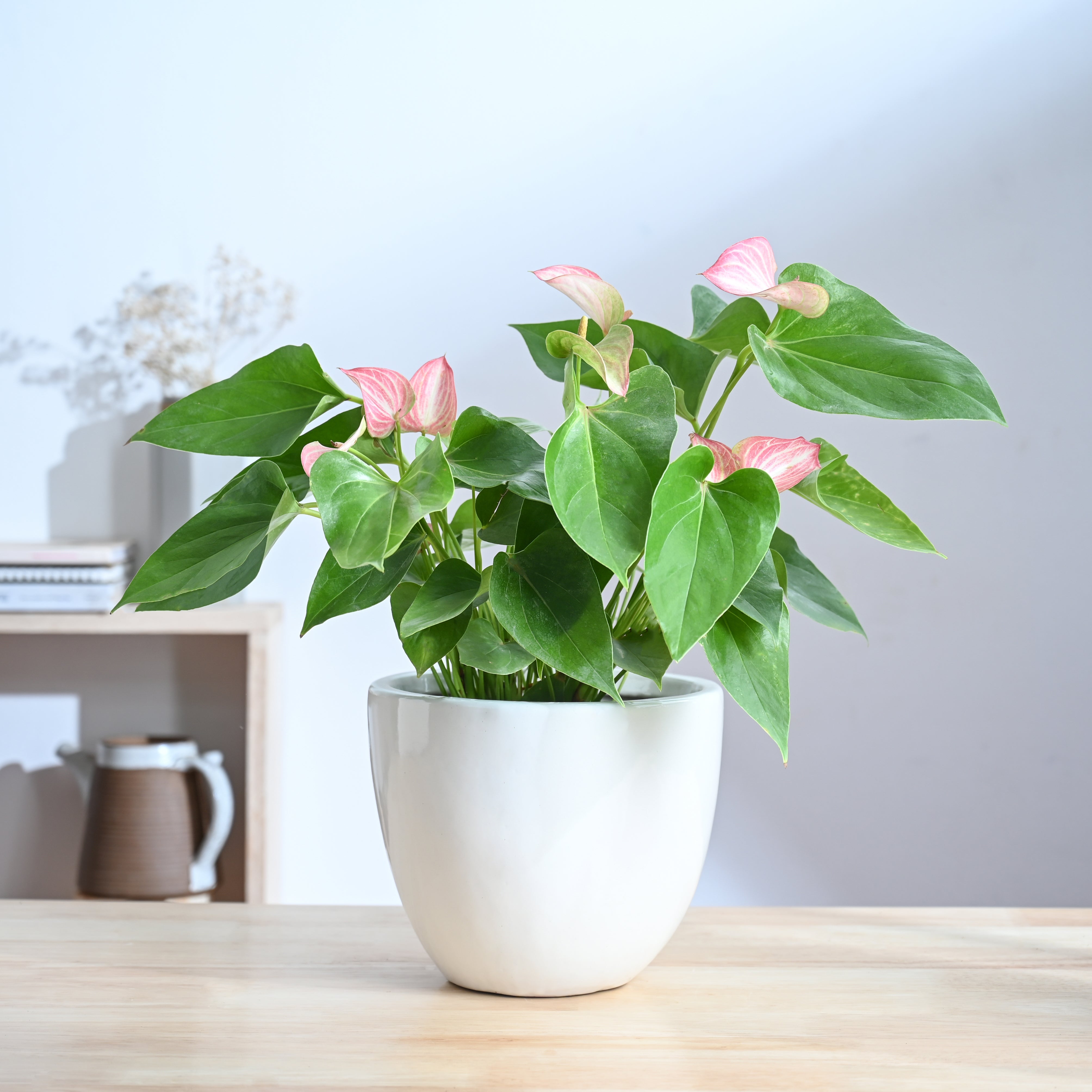 Ugaoo Echoing Eternity Ceramic Planter