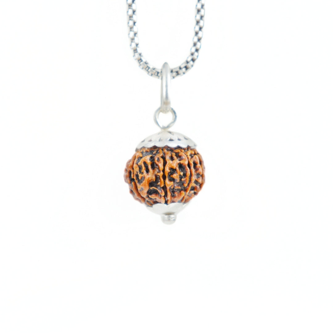 Prinjal Jewellers Silver Capping 8 Mukhi Rudraksha Pendant With Chain ( Nepali )