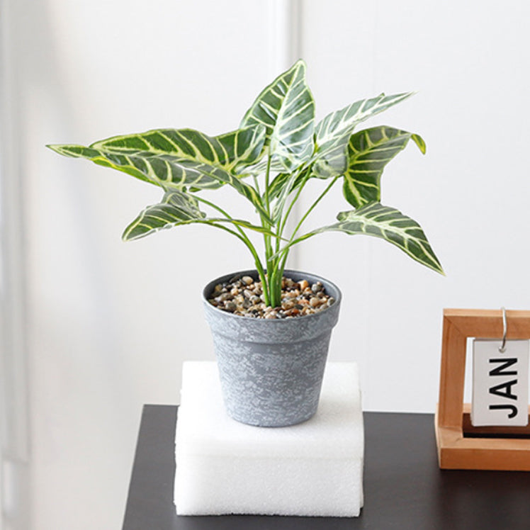 Nestasia Artificial Plant in Pot - view 6