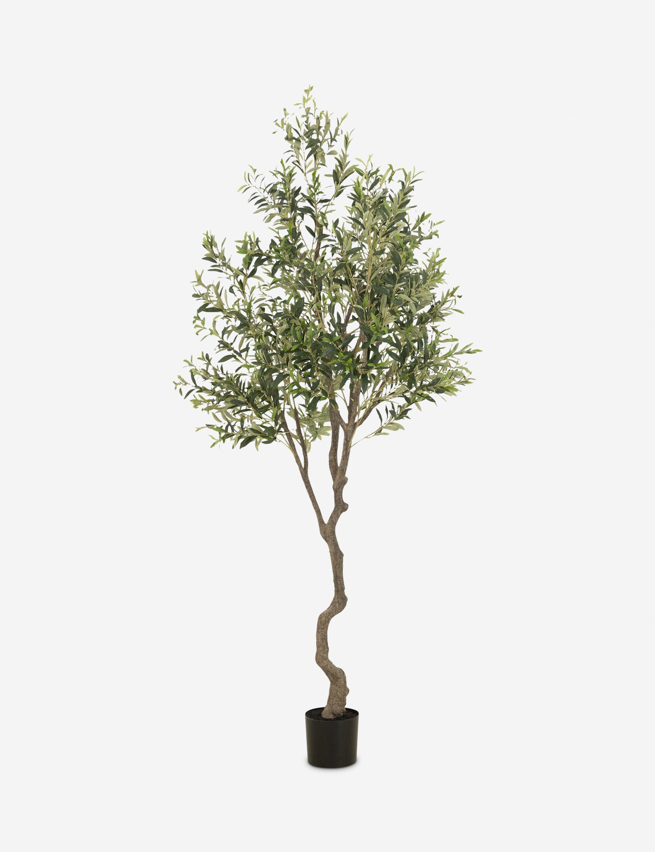 Lulu and Georgia Faux Olive Tree - view 2