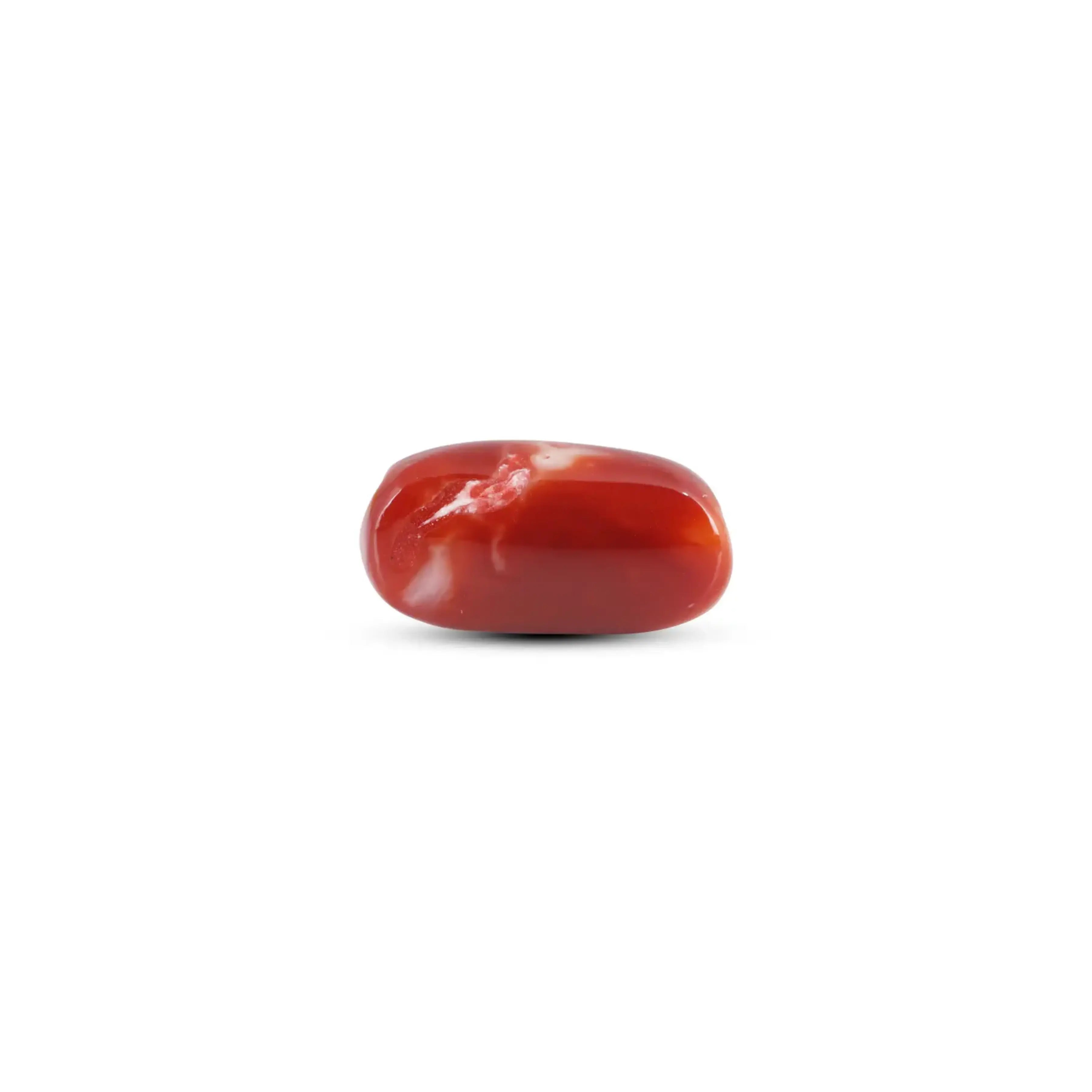Pramogh Japanese Red Coral - 8.6 Carat - view 2