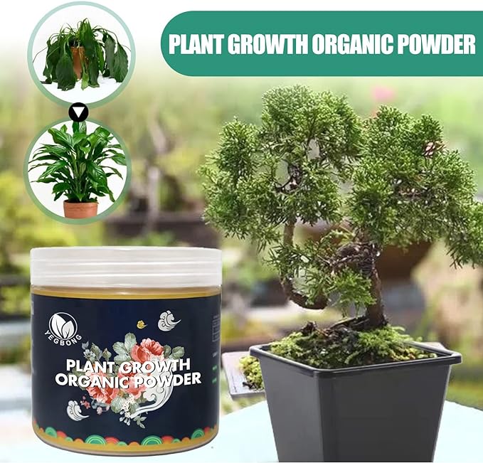 Roposo Clout Plant Growth Organic Powder (Pack of 2)