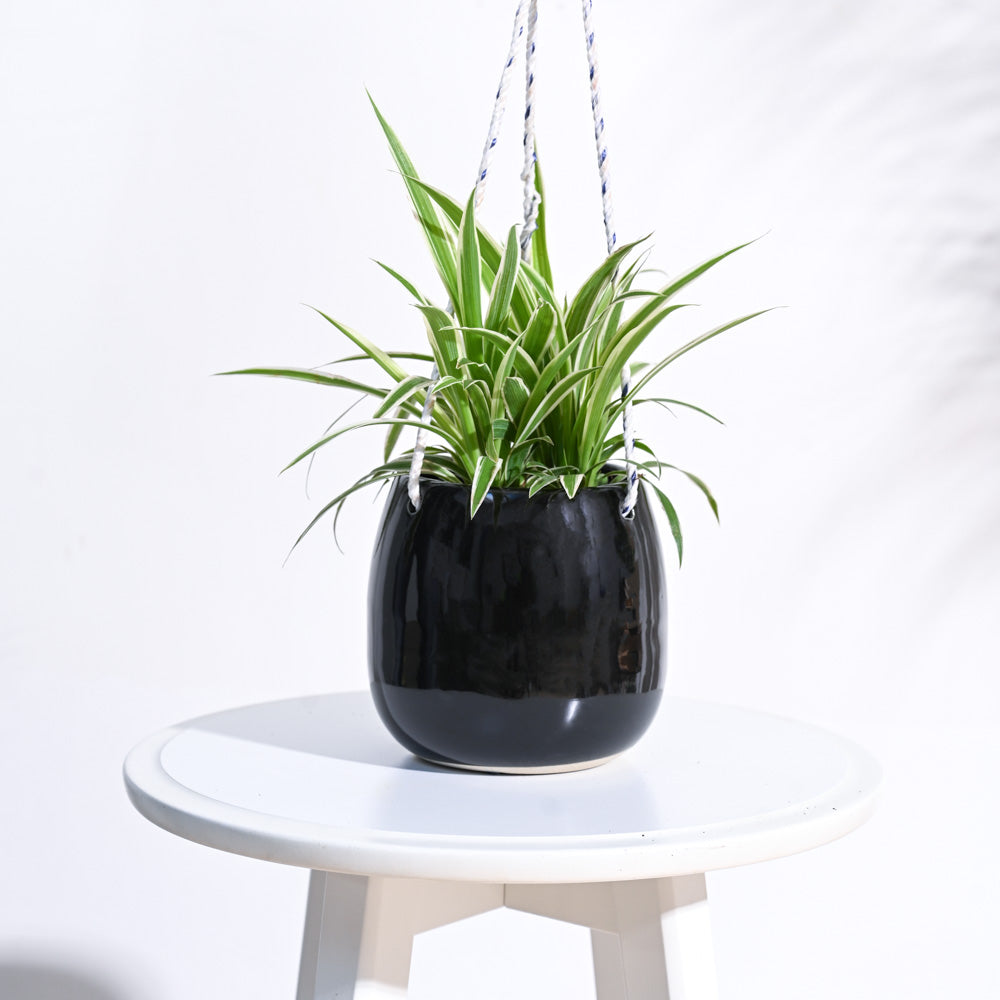 Ugaoo Ladybug Handmade Ceramic Hanging Planter
