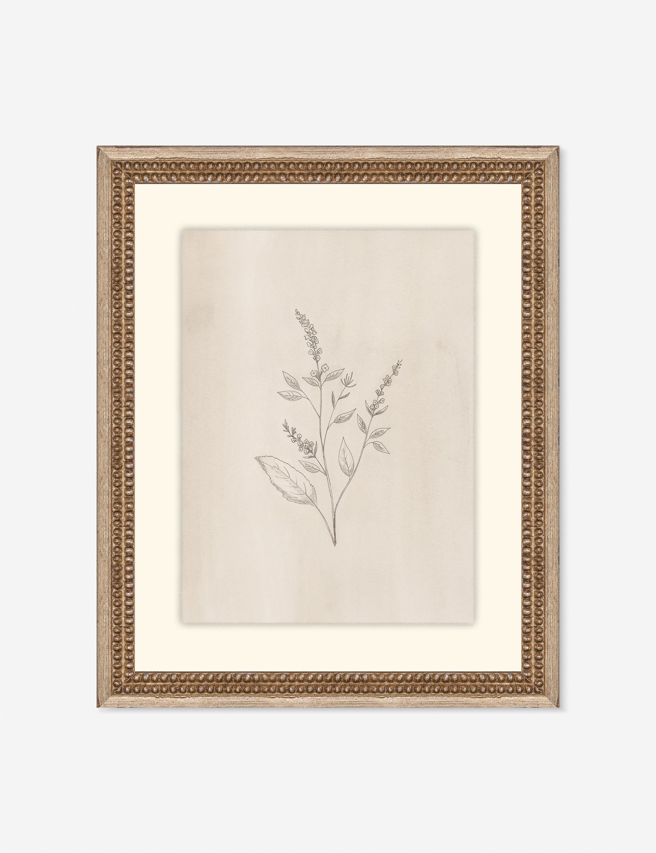 Lulu and Georgia Elegant Botanical VI Wall Art by Makai Howell
